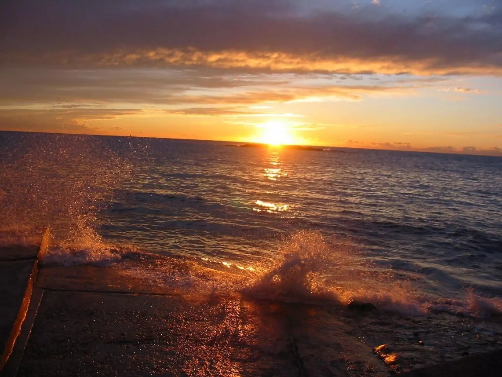 Melisa 7-Image-tags.info