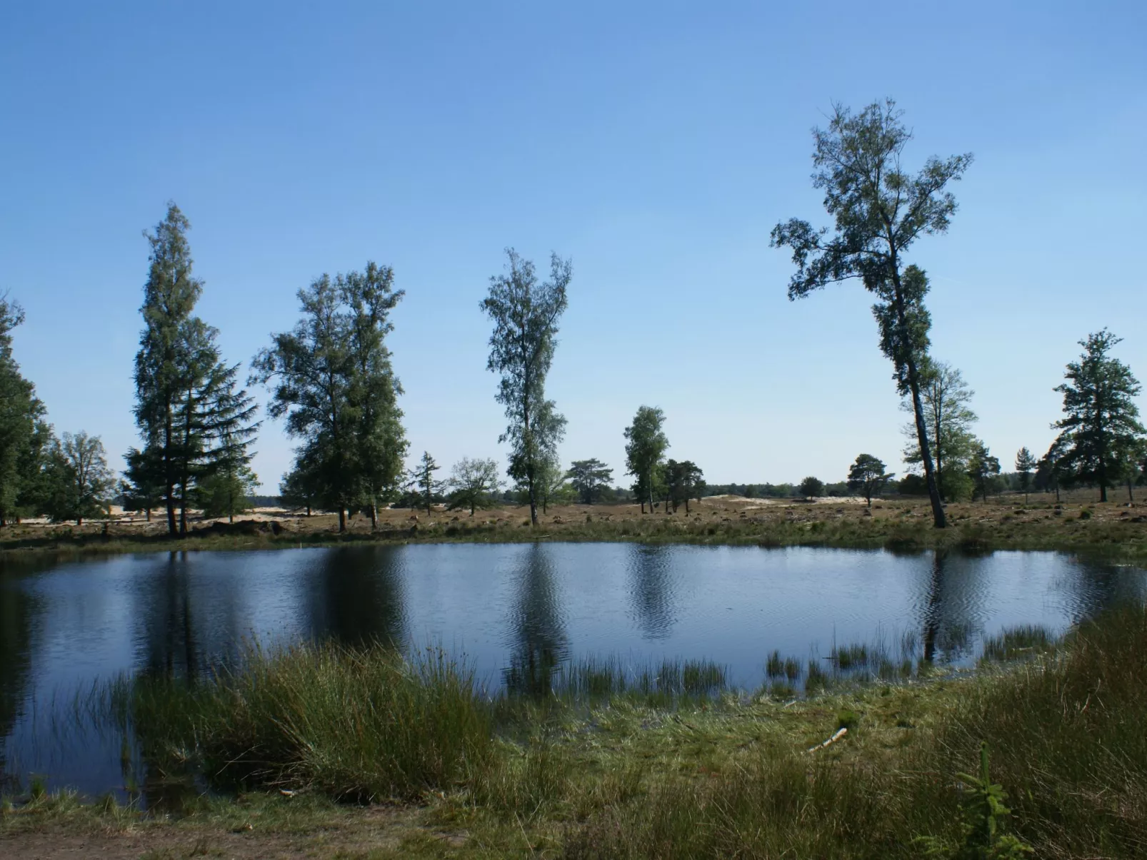 Geschmackvoll eingerichtetes Bauernhaus aus dem 19.-Buiten