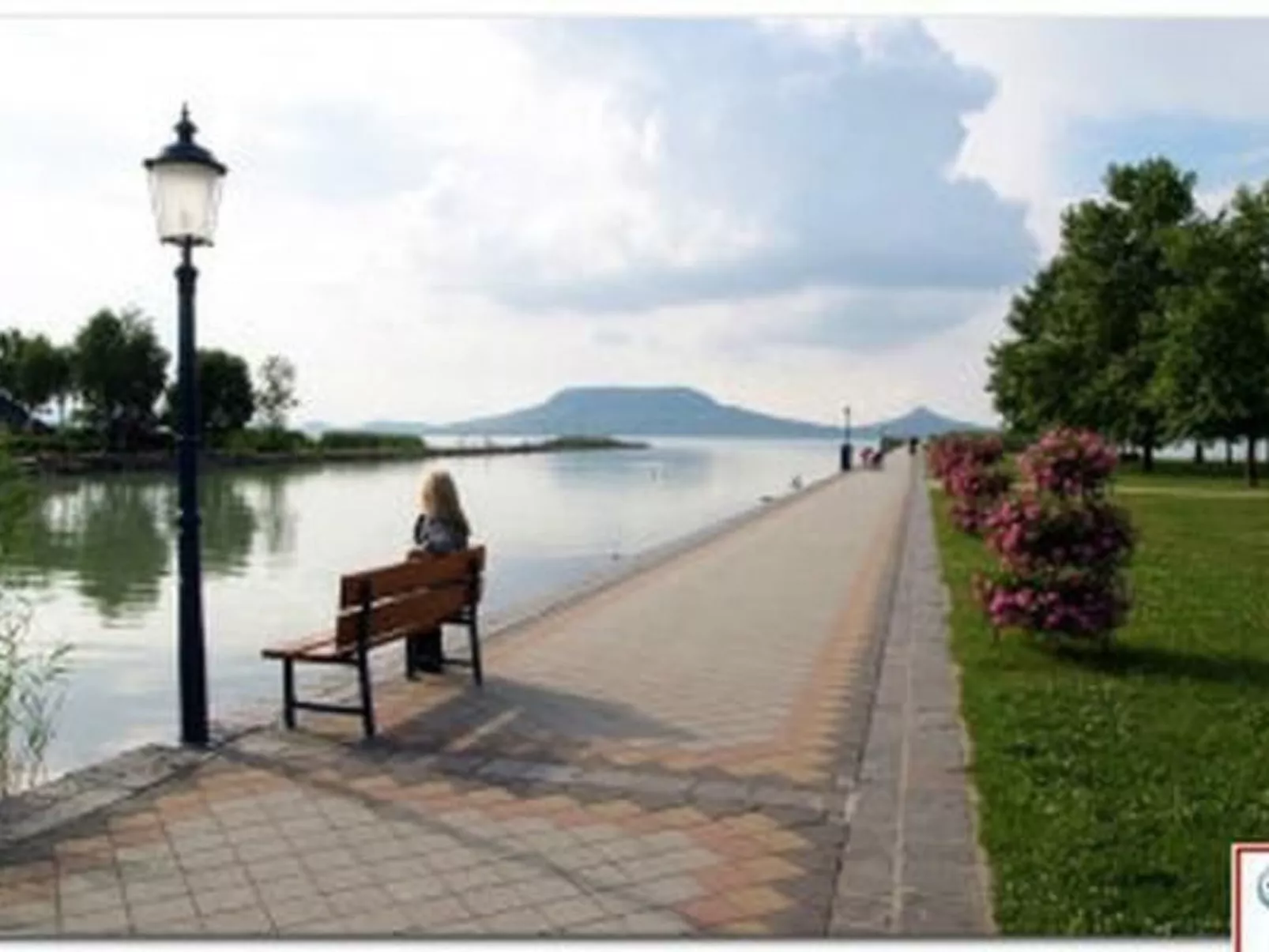 FO-171-Image-tags.info