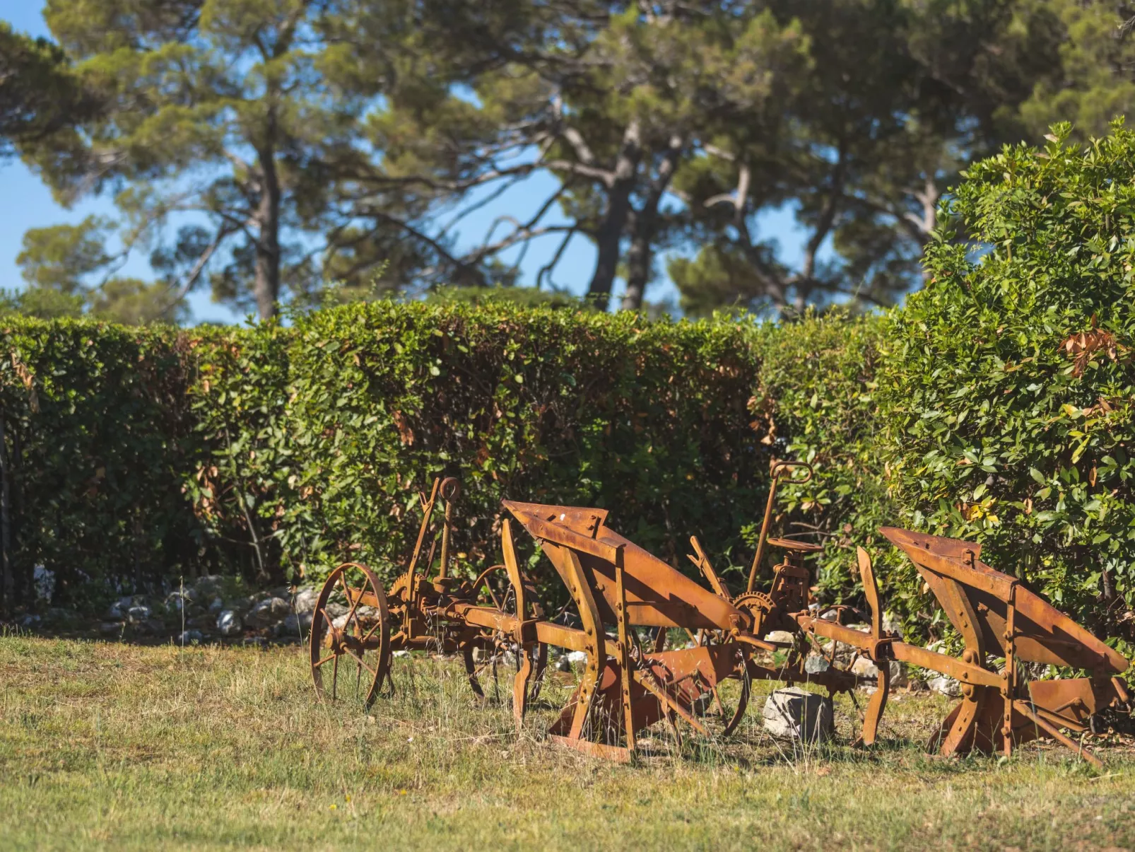 Ferienvilla 'Irene' mit privatem Pool-Image-tags.info