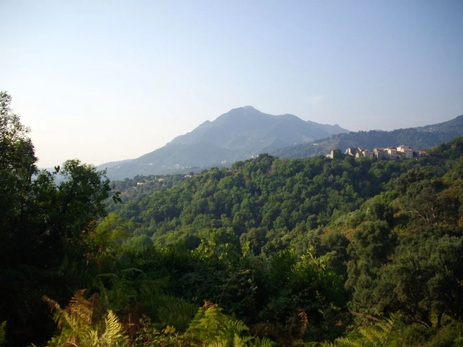 Sole e Ventu 50qm-Image-tags.info