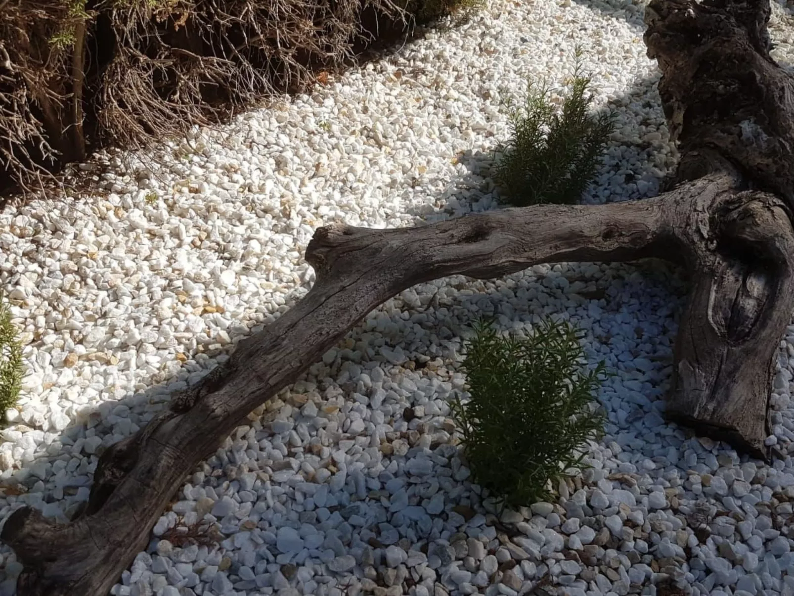 Casa Mila La Sella-Buiten