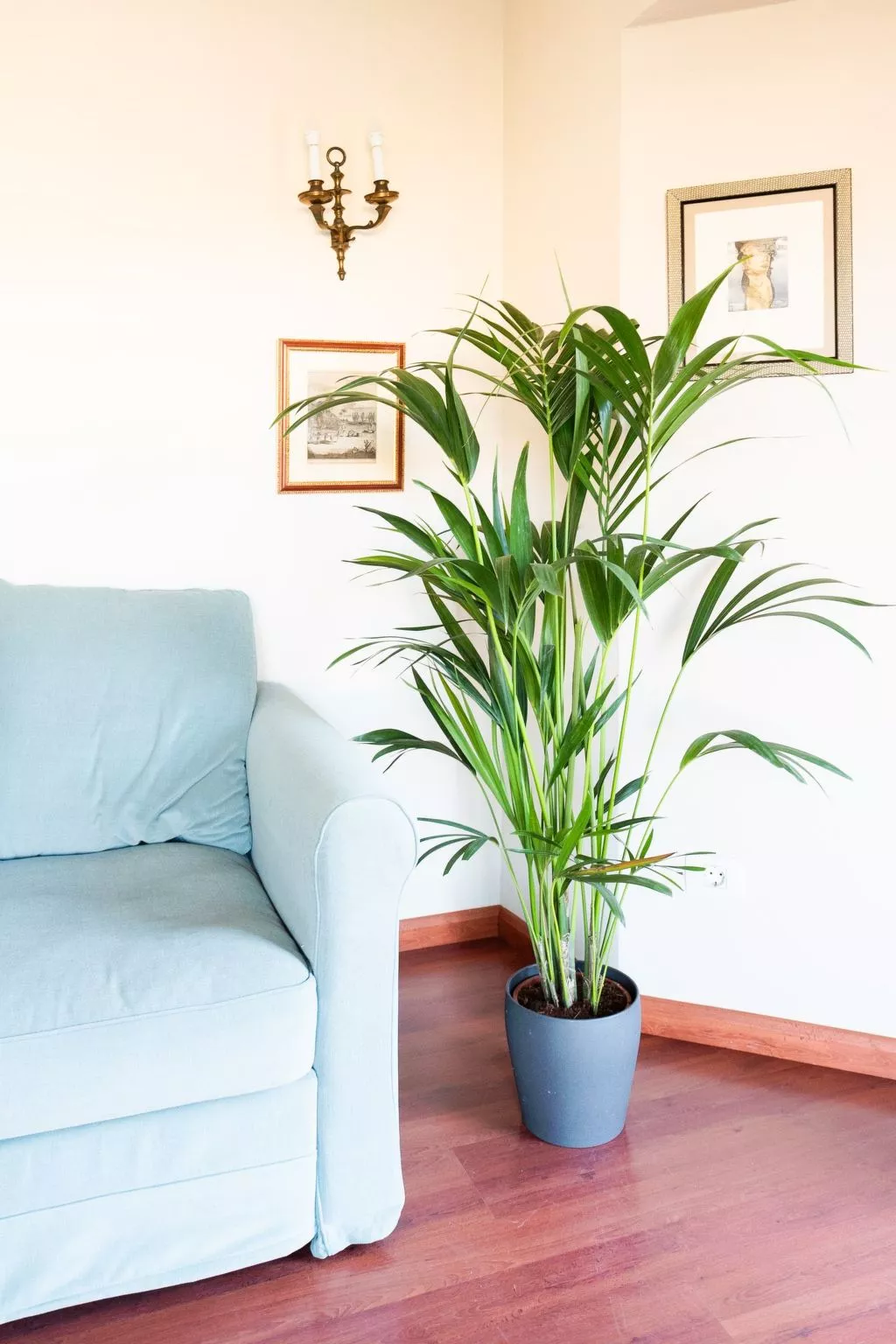 Wunderschöne Villa in einer einzigartigen natürlichen Umgebung-Binnen