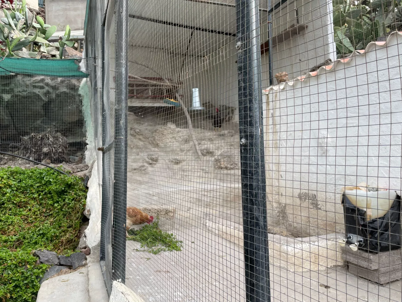 La Paloma mit gemeinschaftlichem Wellnessbereich-Buiten