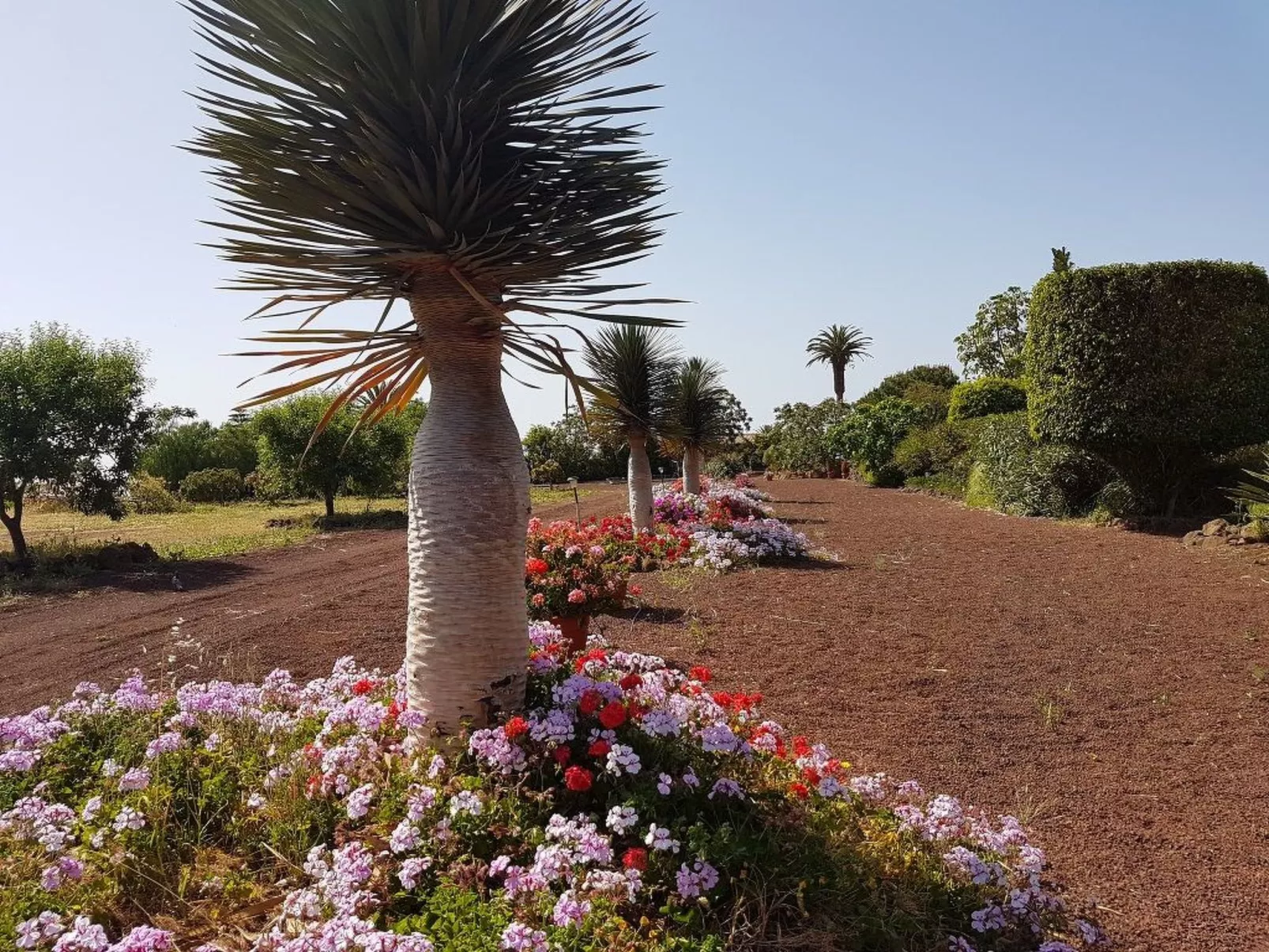 Finca Picacho "Ferienhäuser für große Gruppen"-Buiten