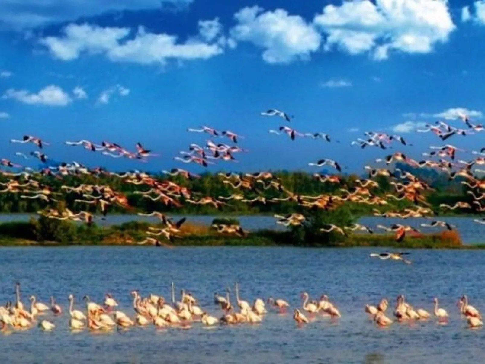 Villa mit Gemeinschaftspool zwischen Ferrara und Venezia-Buiten