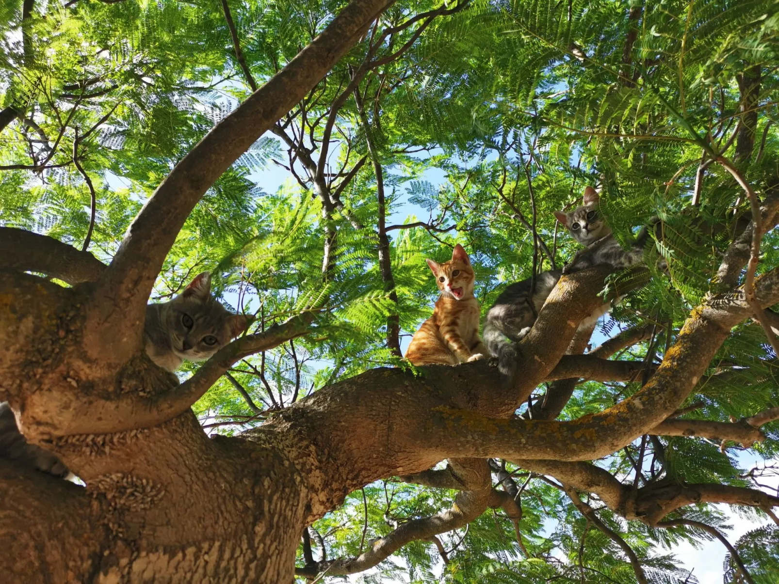 App 2 Studio-Wohnung 2 Plätze-Buiten