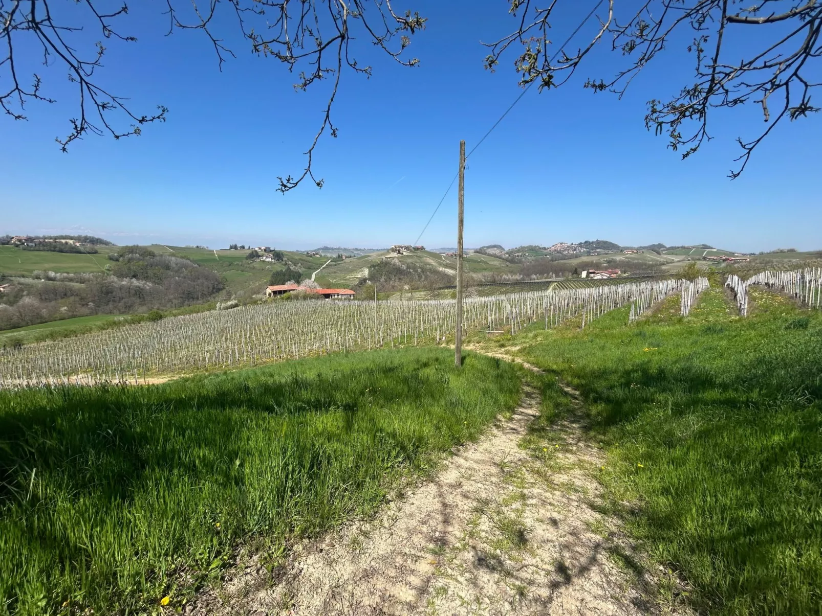 Casa il Cuore delle Langhe bei Holiday World-Buiten