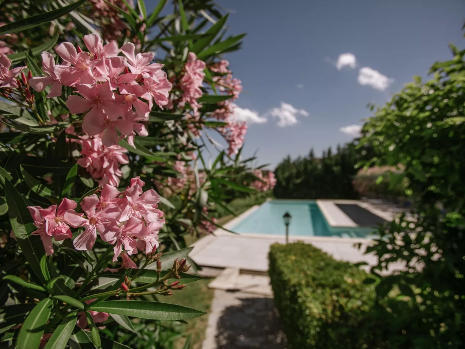 'Dolcetto' mit Schwimmbad-Buiten