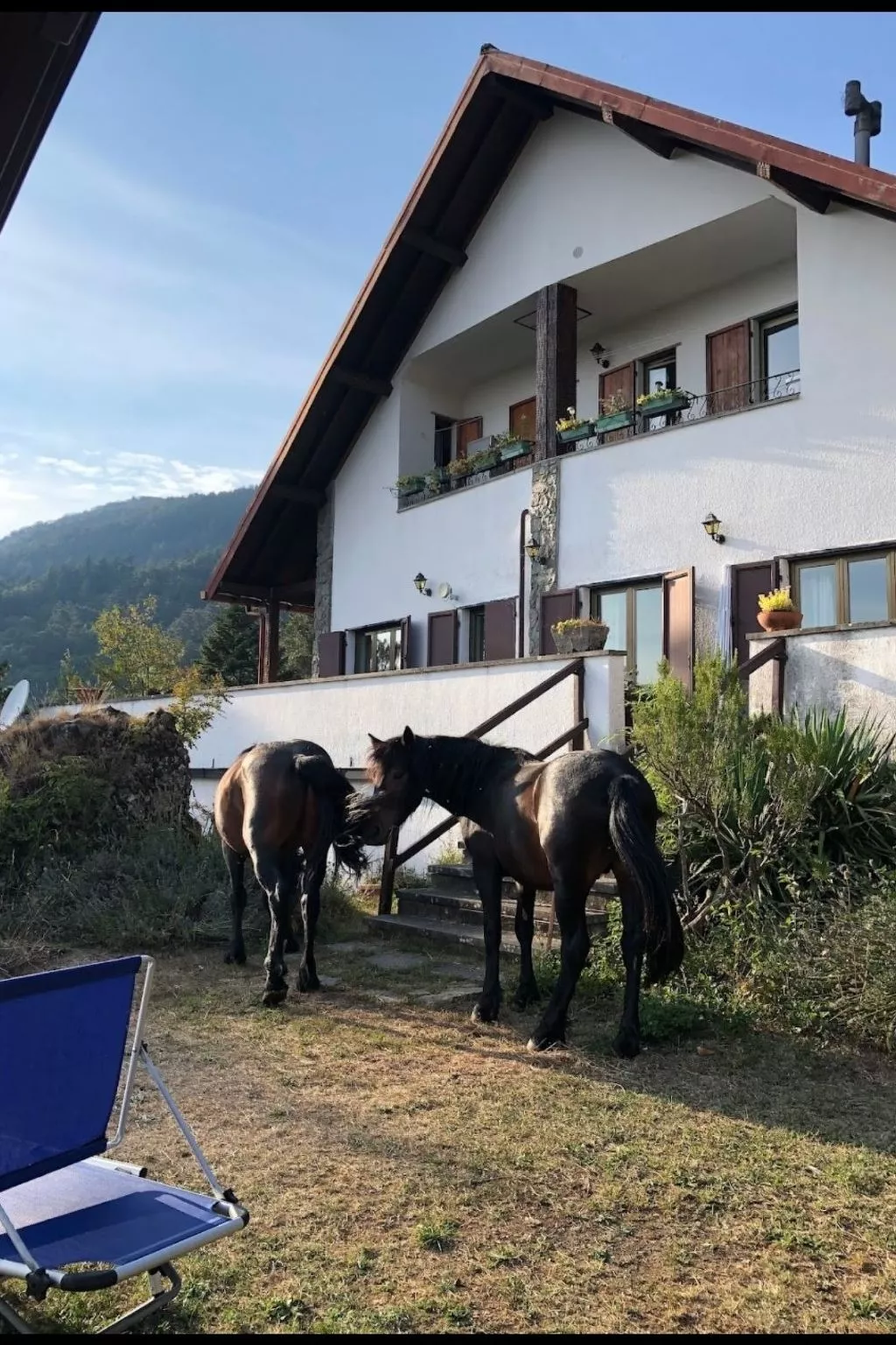 Natur und Entspannung, Villa im Park-Buiten