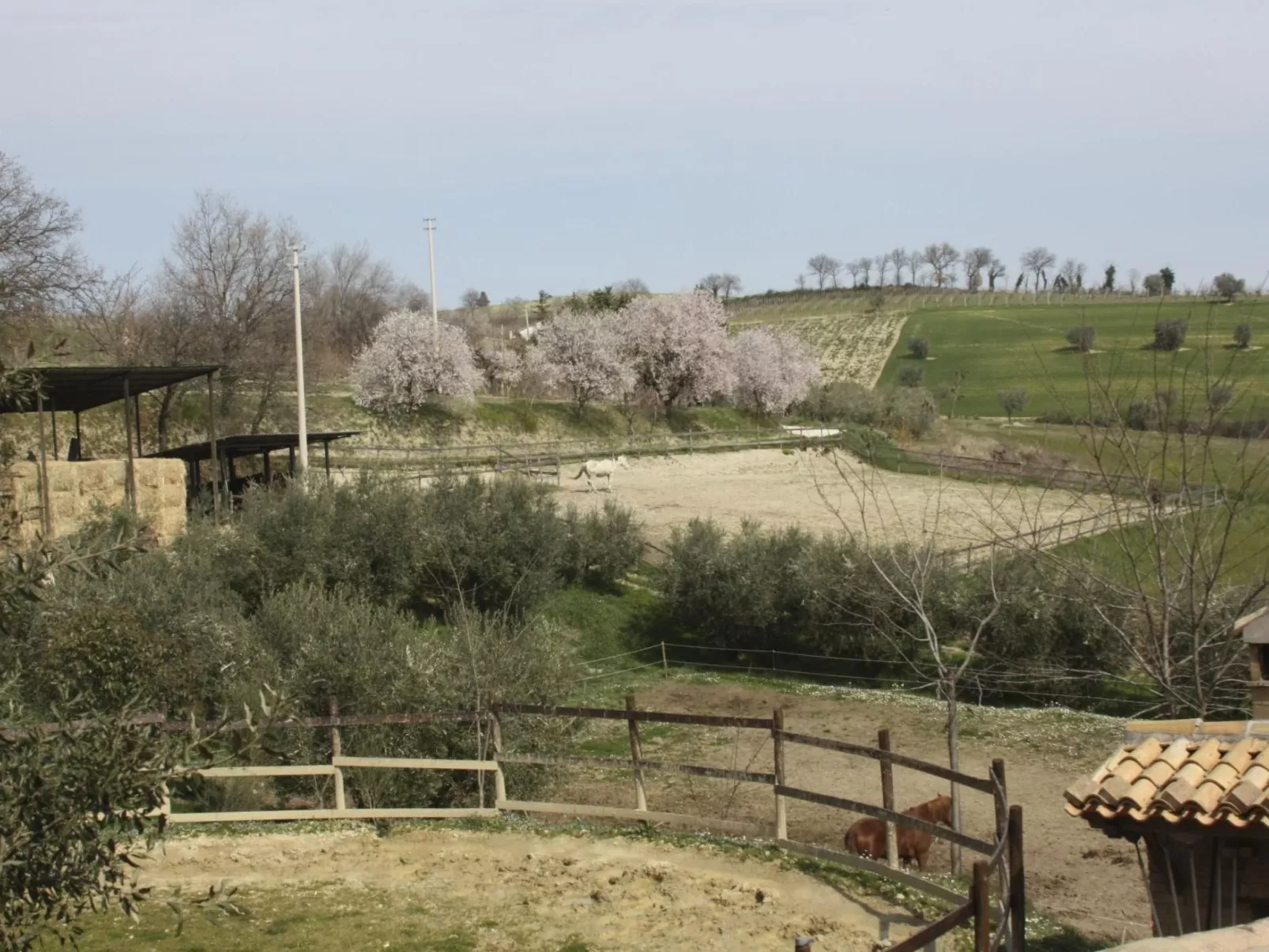 In der Gegend zwischen Meer und Berghang-Image-tags.info