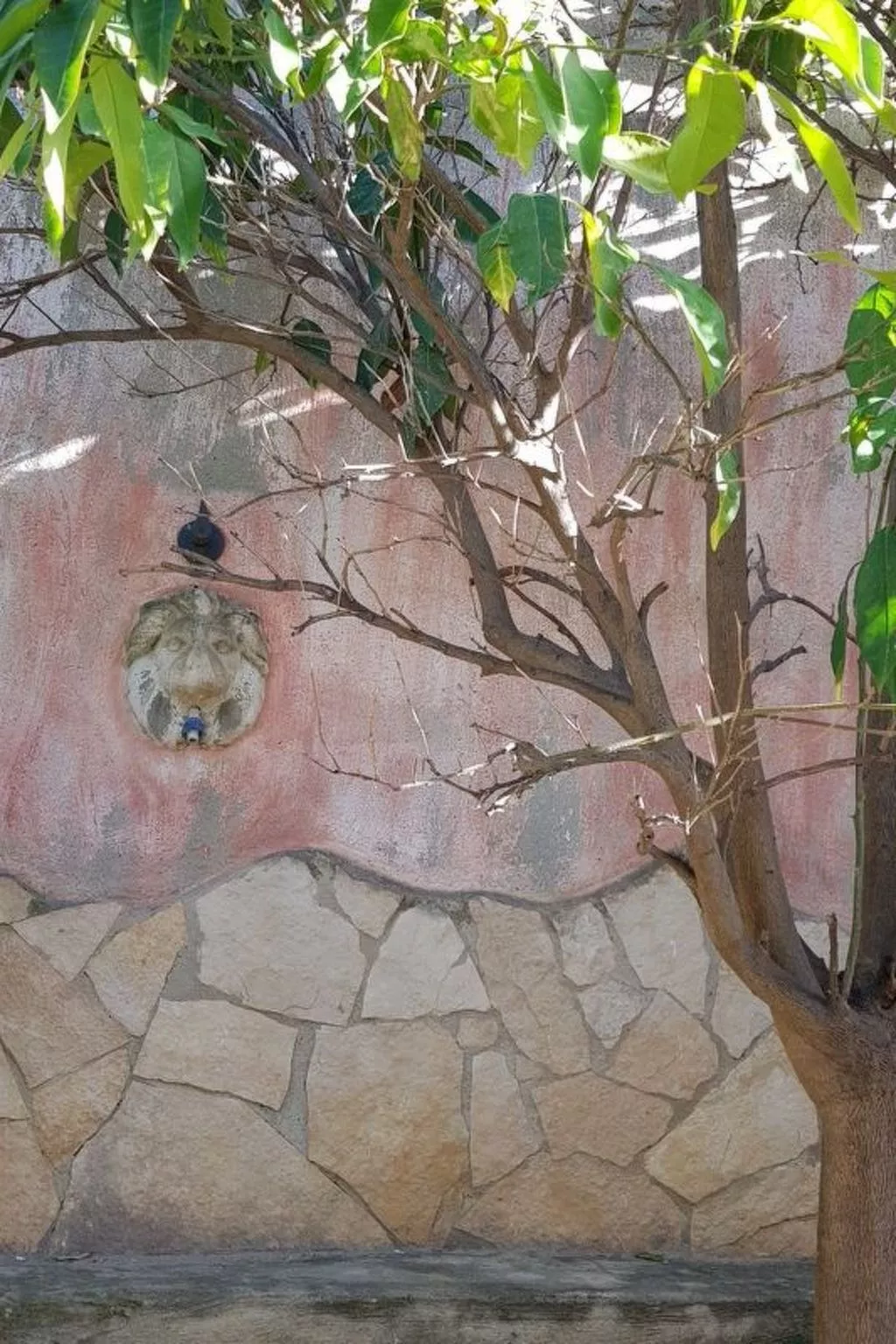 Su Niu Crobu-Image-tags.info