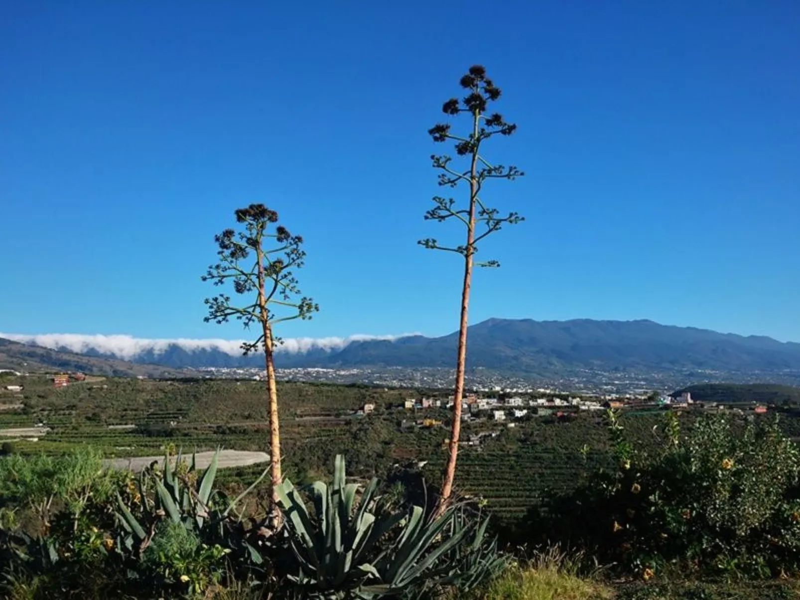 Haus Vista Caldera - Image-tags.info