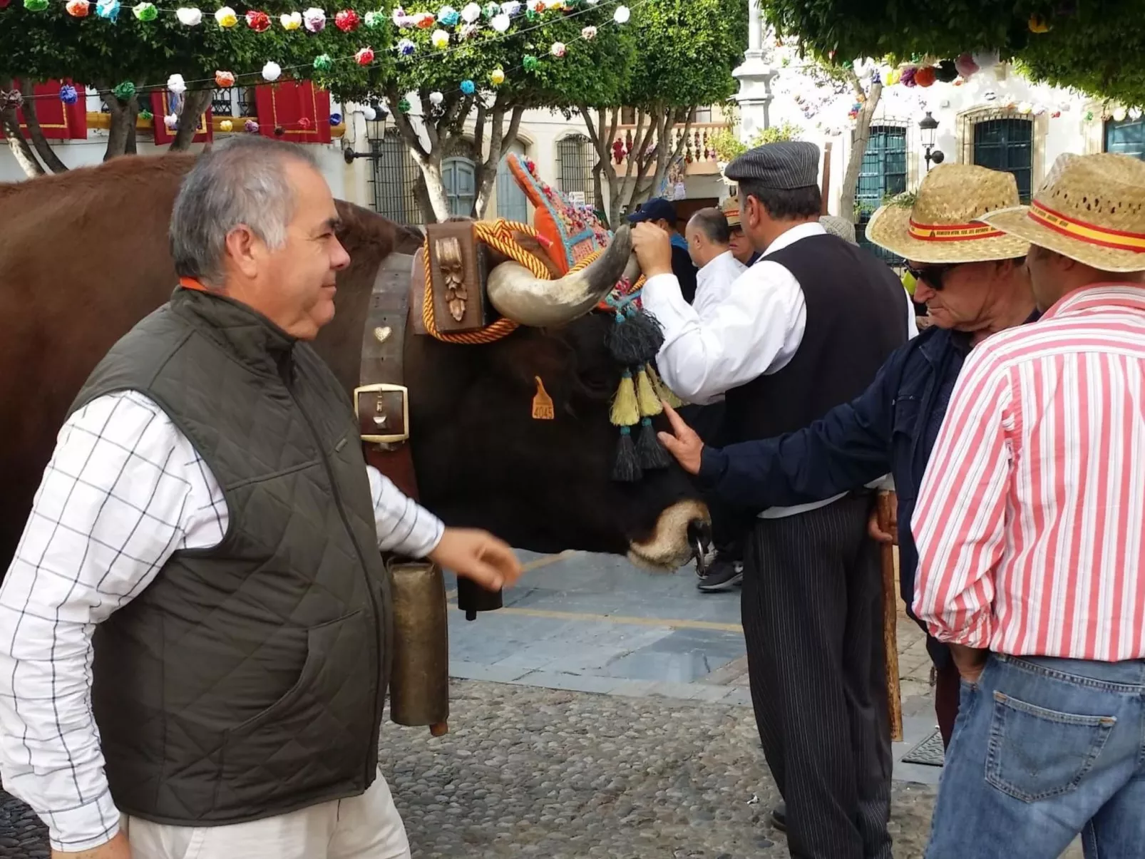 Schöne Villa für 6 Personen mit Schwimmbad-Image-tags.info