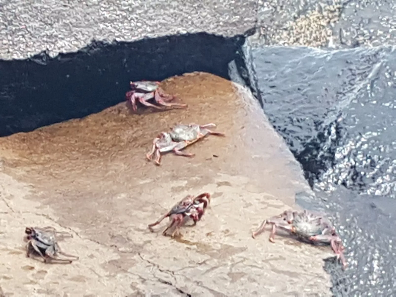 Für 6 Personen ca. 90 m - Image-tags.info