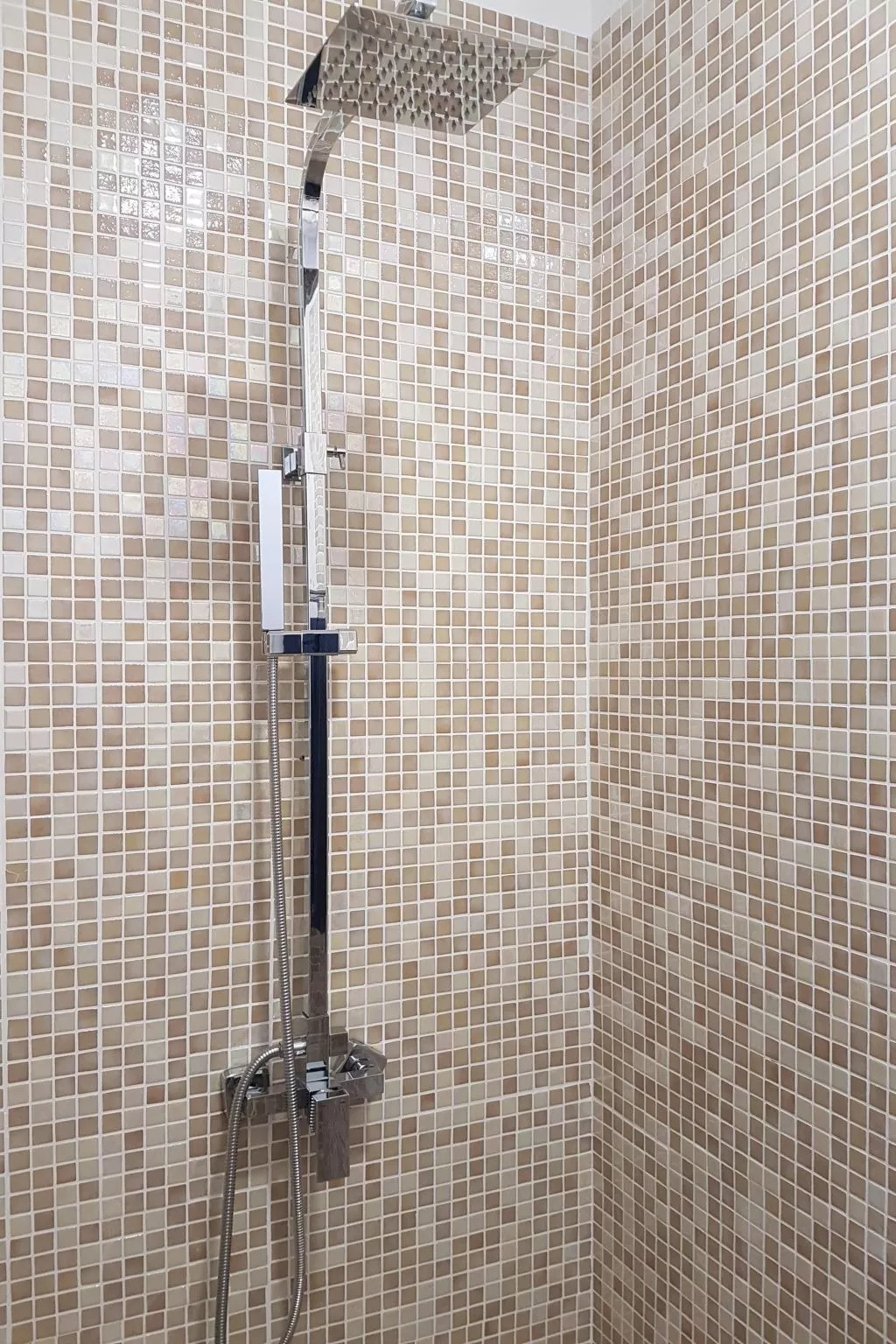 Widder vor dem Meer-Binnen