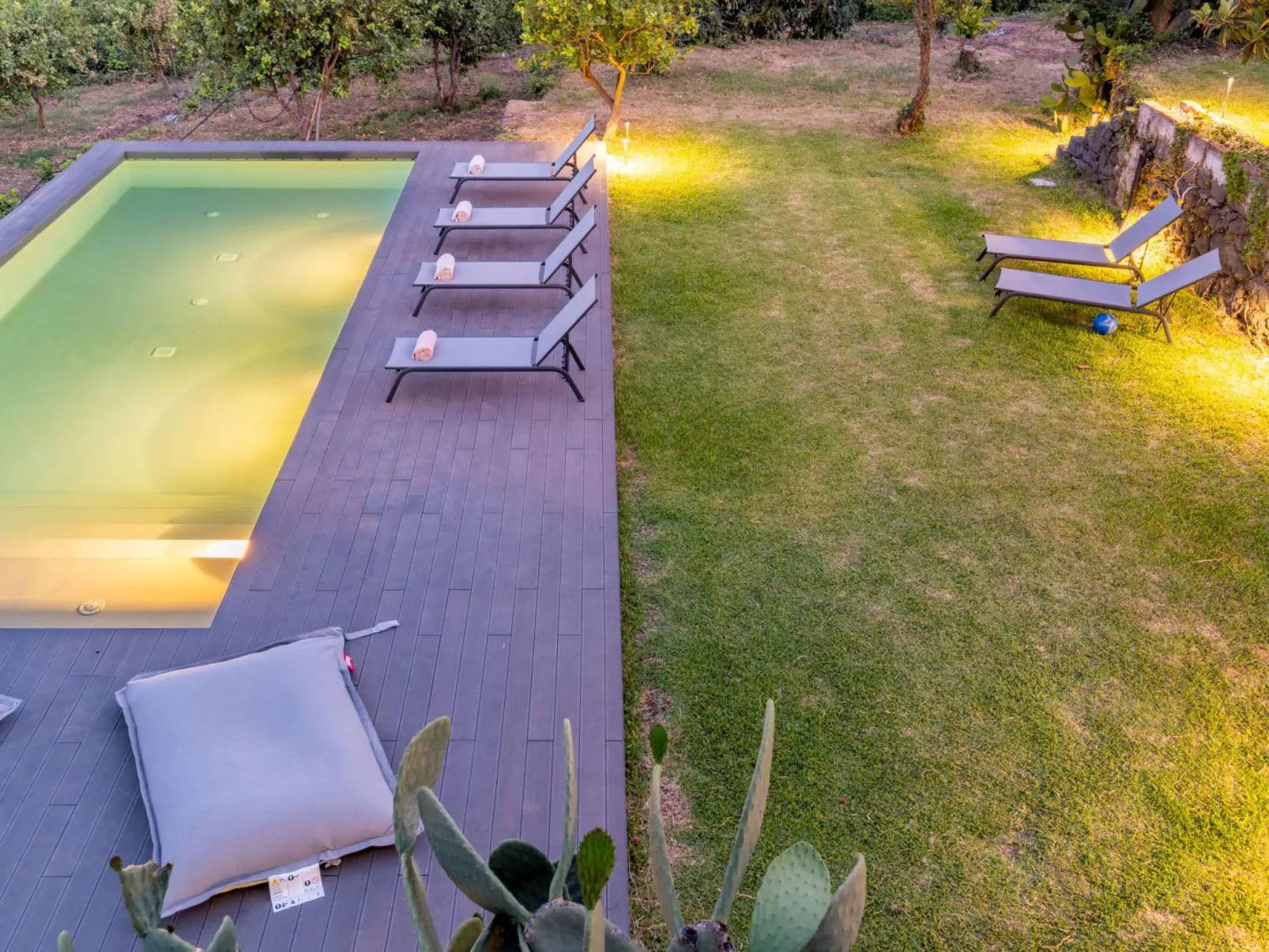 Avocado Garten-Image-tags.info