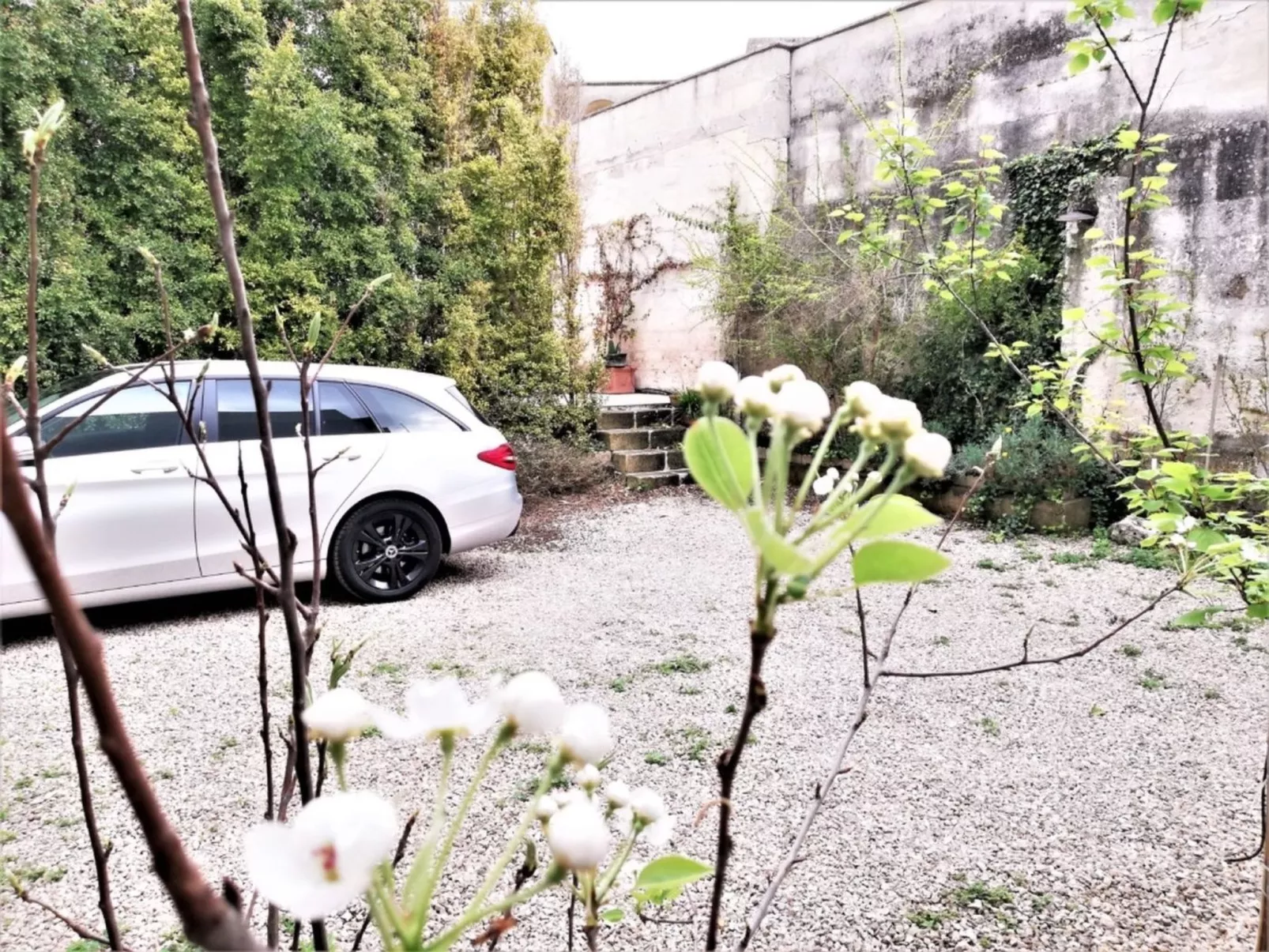 Agora-Wohnungen" in prestigeträchtigem historischen Gebäude-Buiten