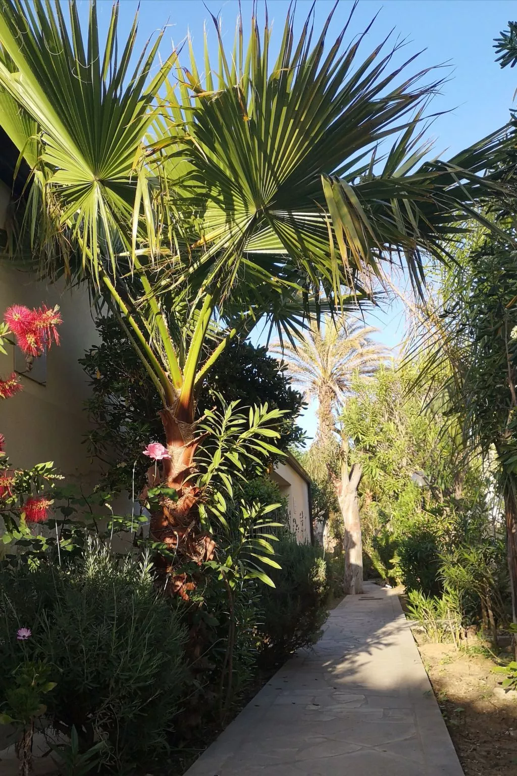 Schöner zentraler Bungalow direkt am Sandstrand auf Sizilien-Buiten
