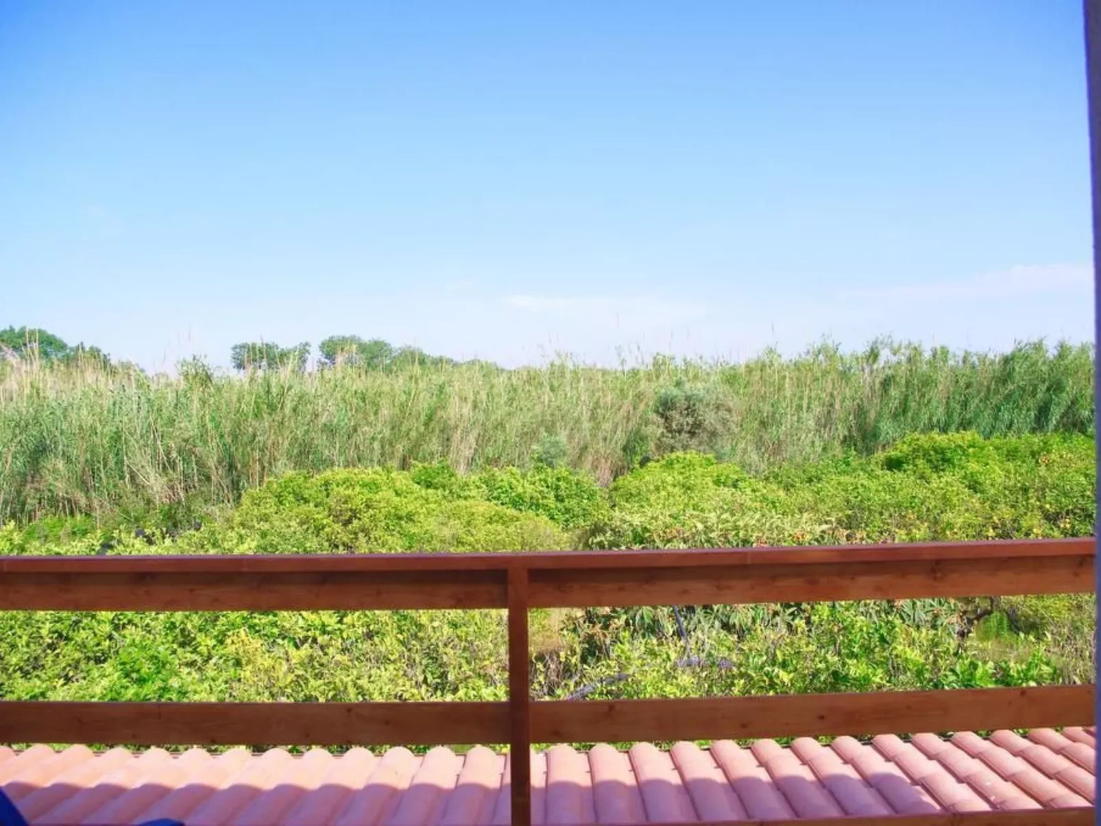 Wohnung 'Lido Fiori' mit privatem Garten-Image-tags.info