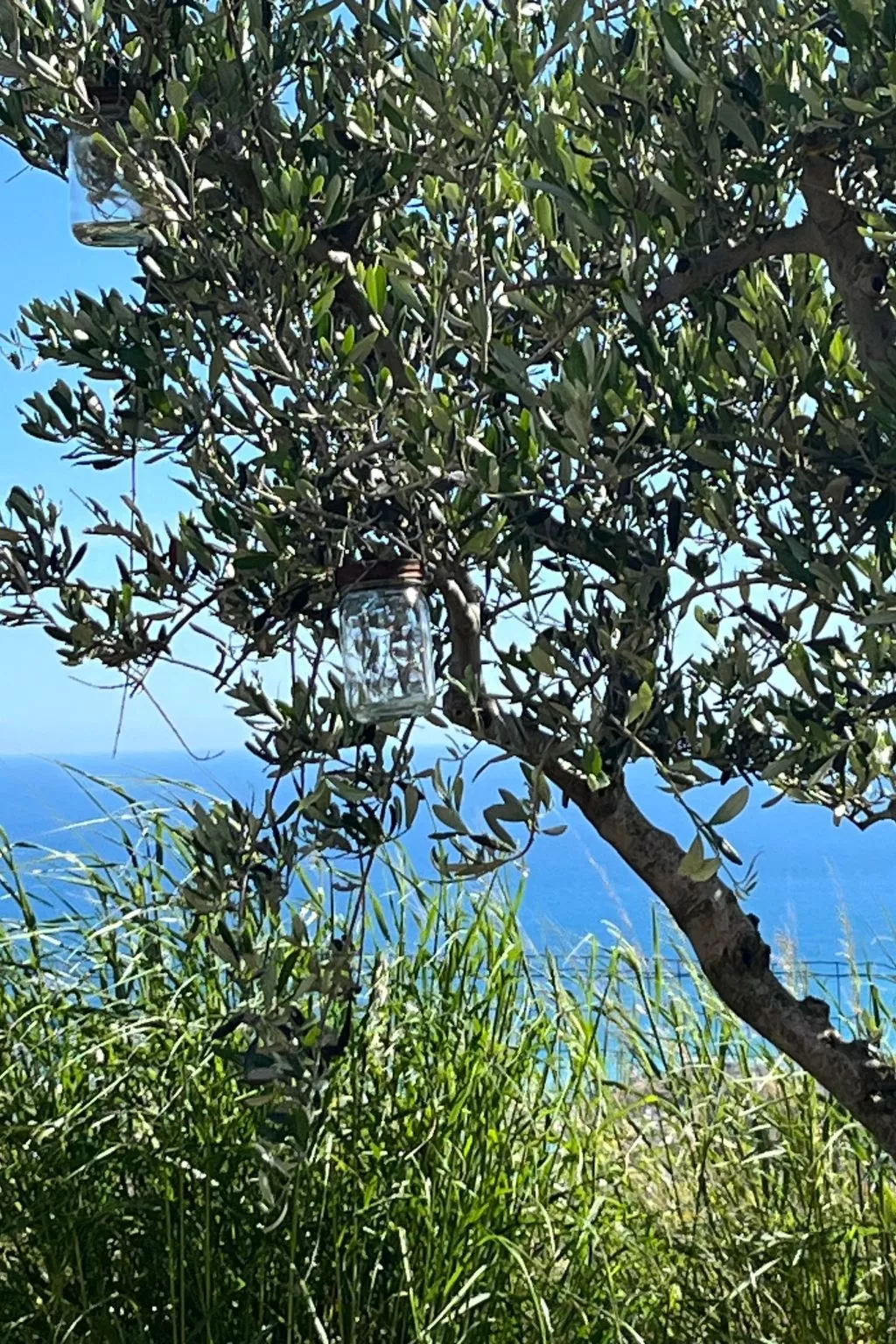 Bella Vista Poggi 180 Grad Fantastischer Meerblick-Buiten