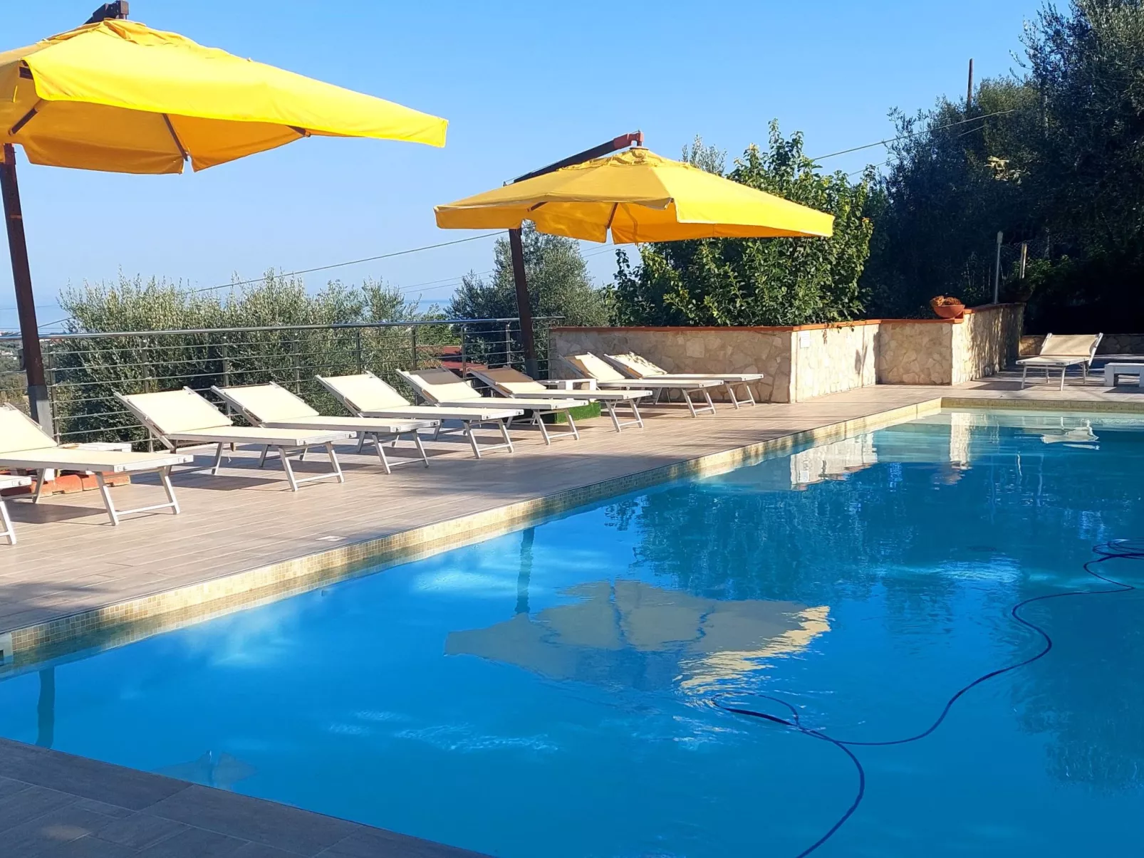 Drei-Zimmer-Wohnung im Erdgeschoss-Image-tags.info