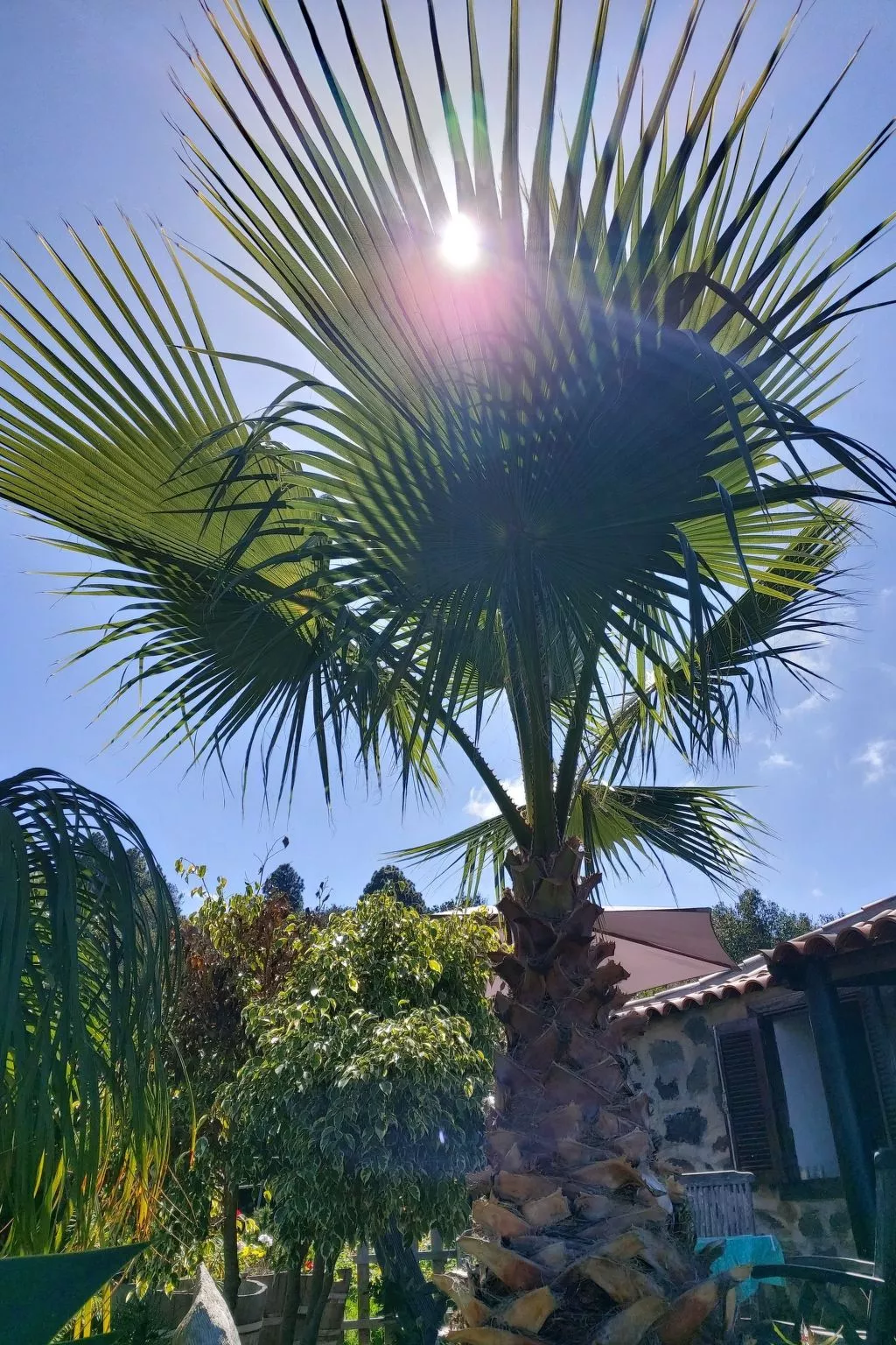 FW Cueva del Viento - Buiten