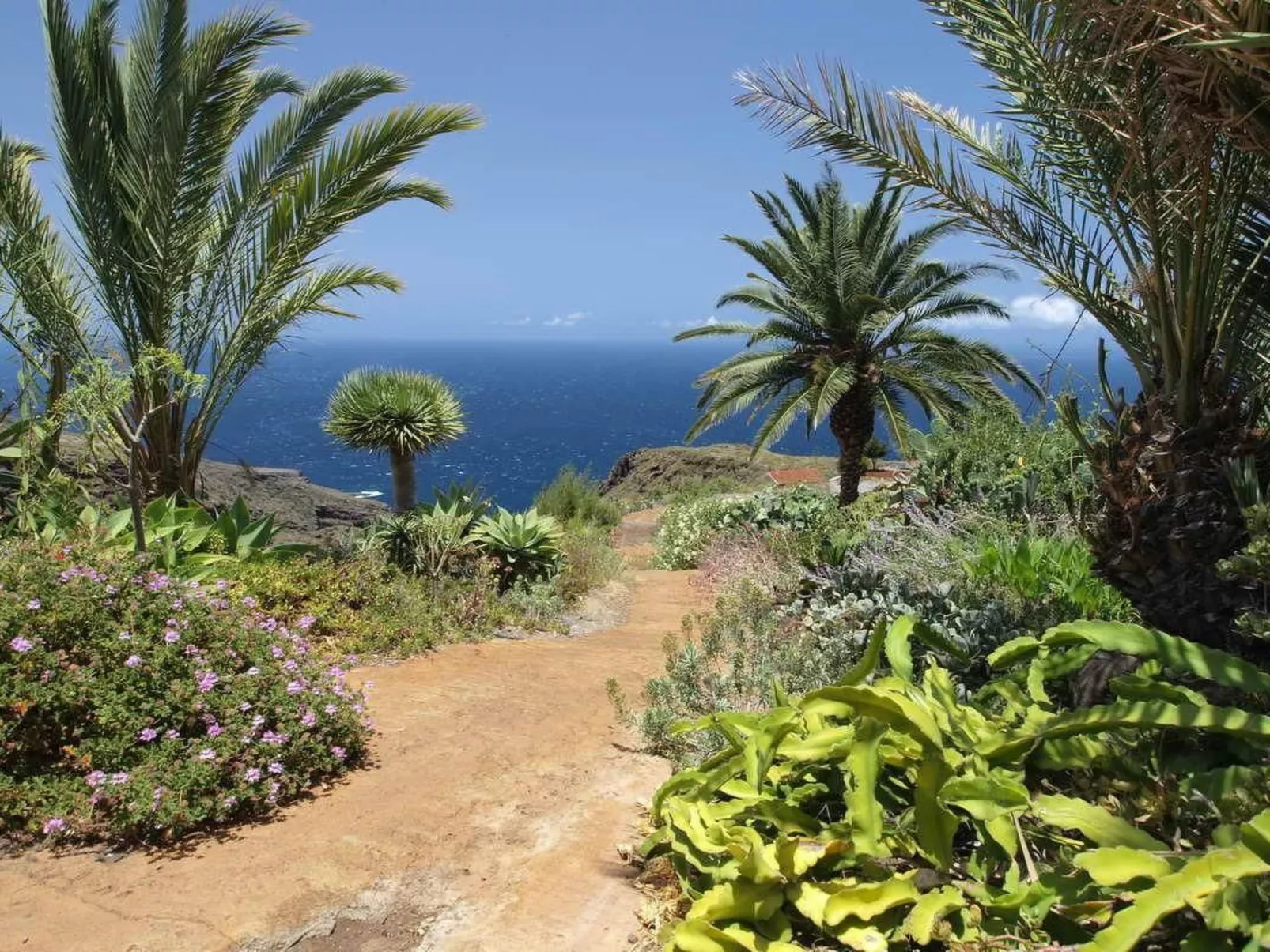 Bio Finca Los Hondos-Buiten