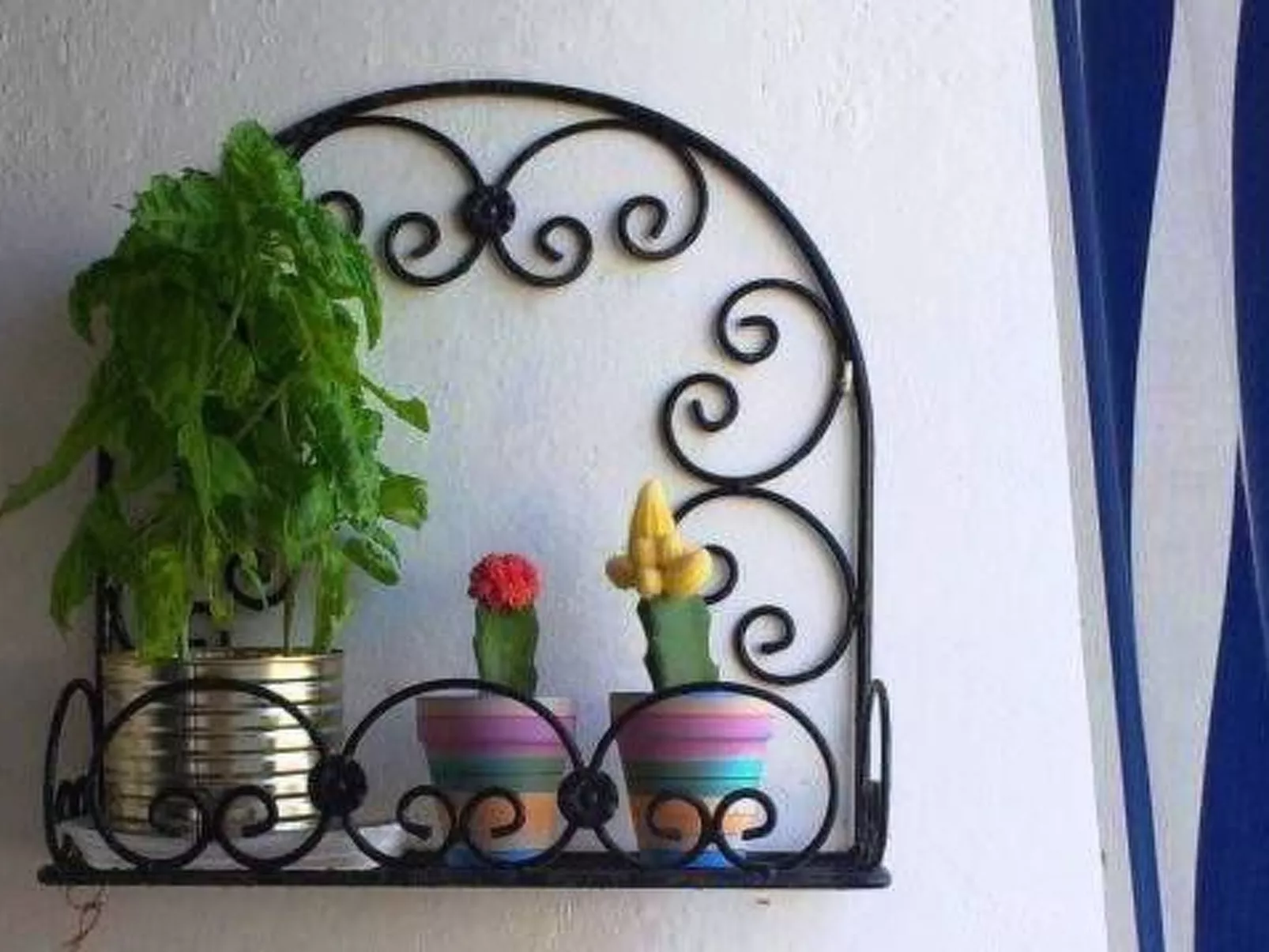 Hibiskus-Image-tags.info