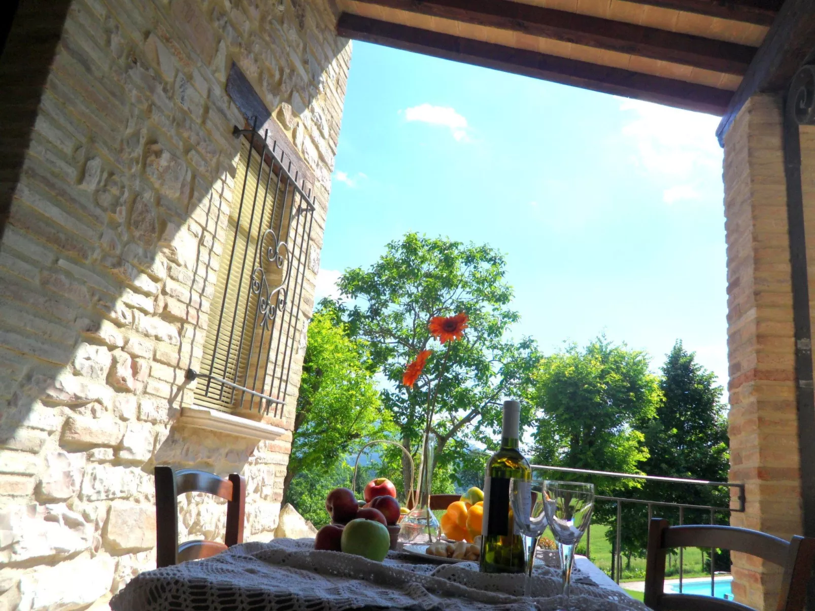 Girasoli in Cagli-Buiten