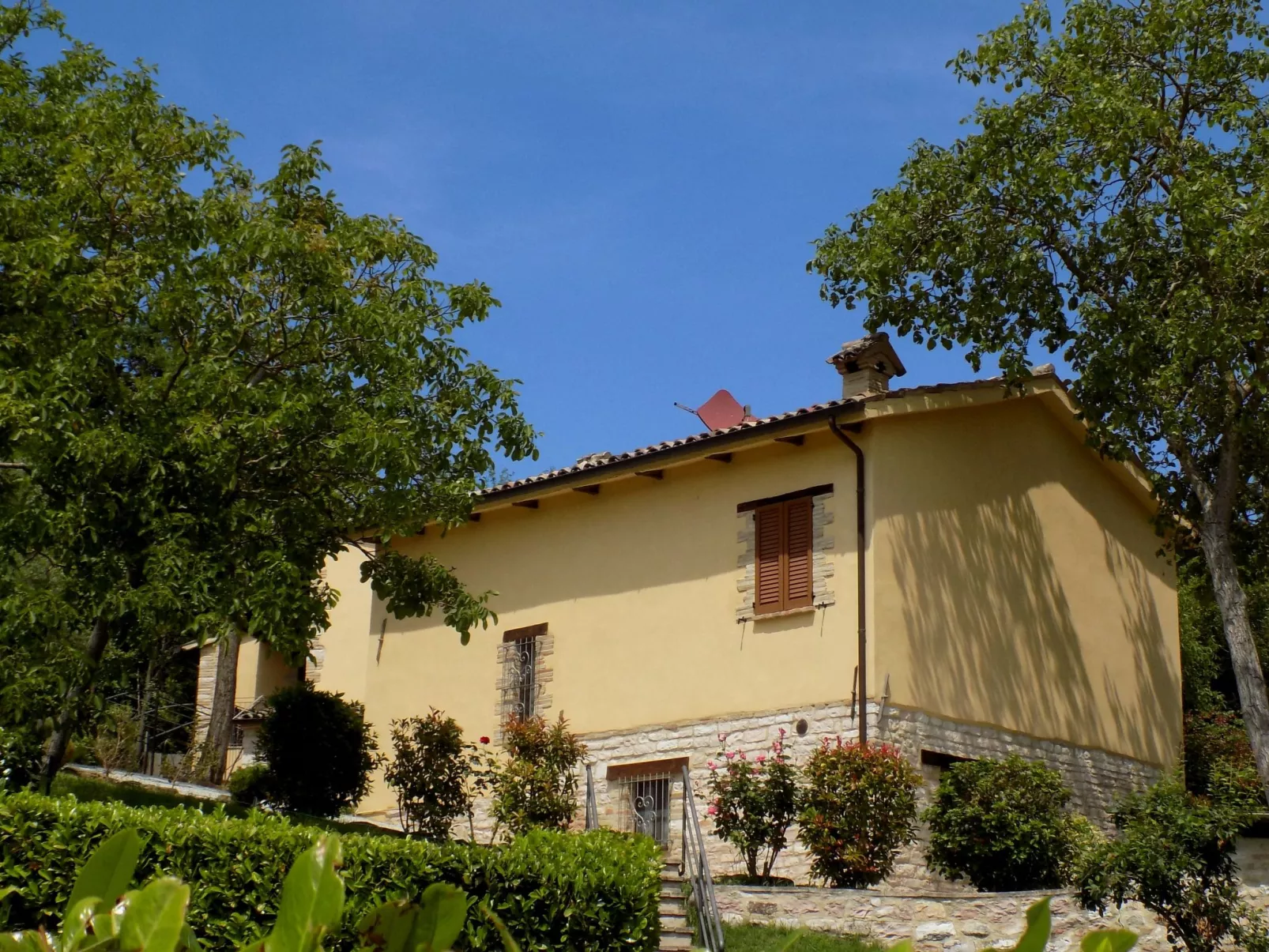 Flacher Flieder-Buiten