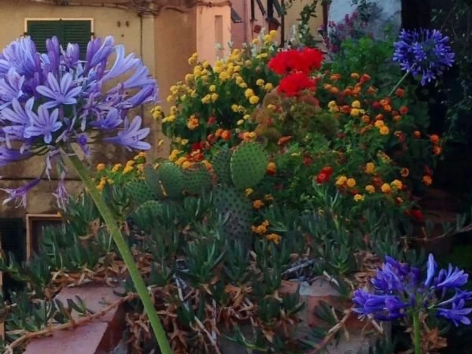 Mit Wasserblick-Buiten