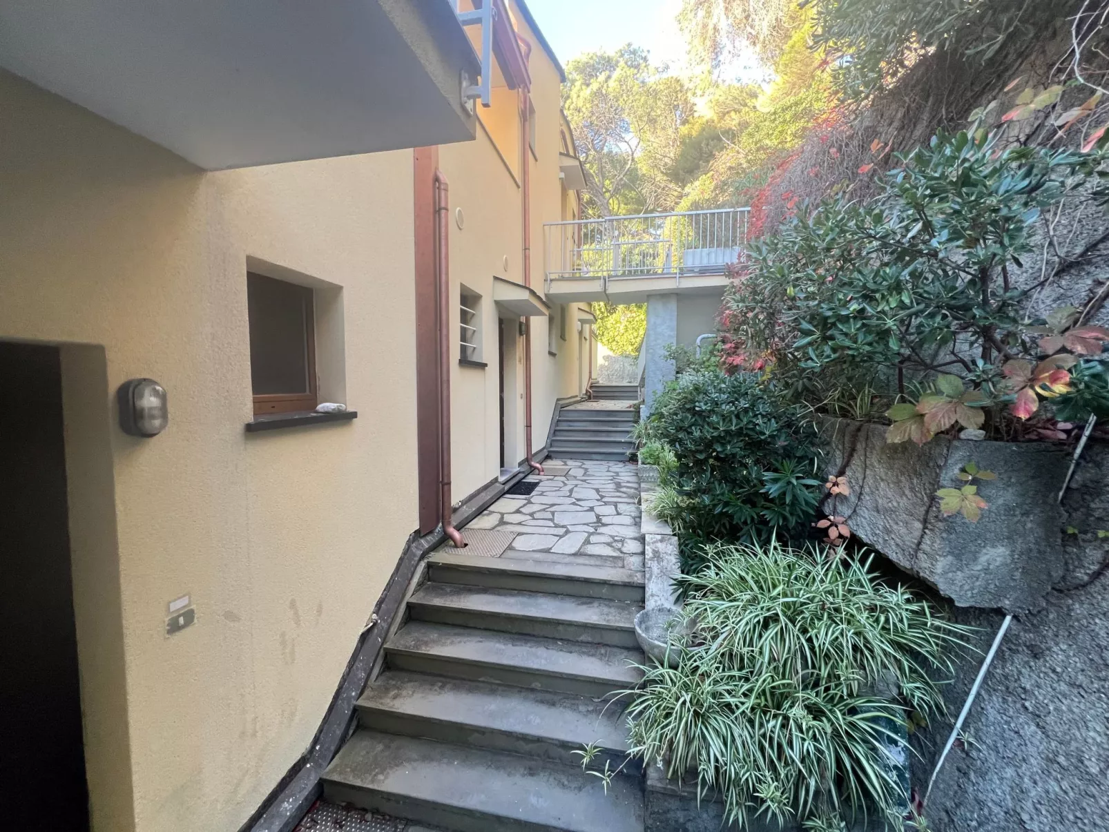 House Agave by Holiday World-Image-tags.info