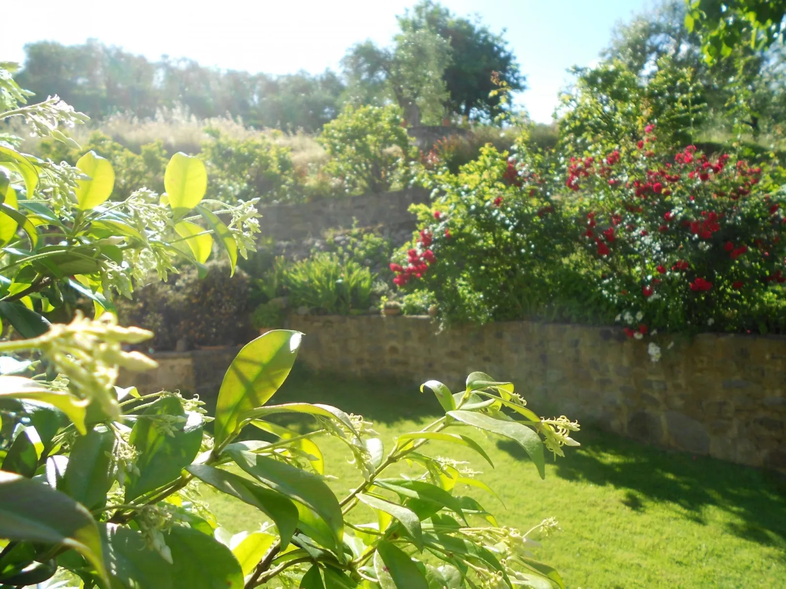 Anwesen "Il Campano" mit Whirlpool-Image-tags.info