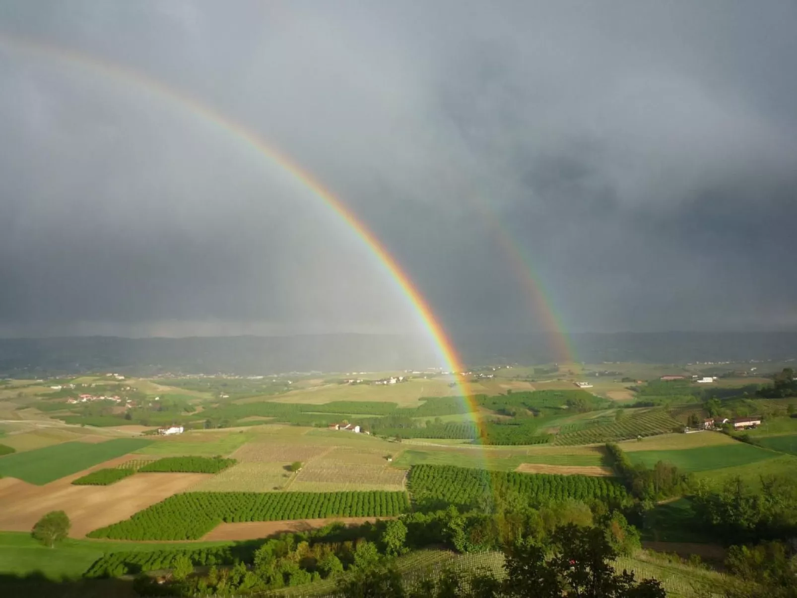 Wohnung in Verduno mit Garten-Buiten