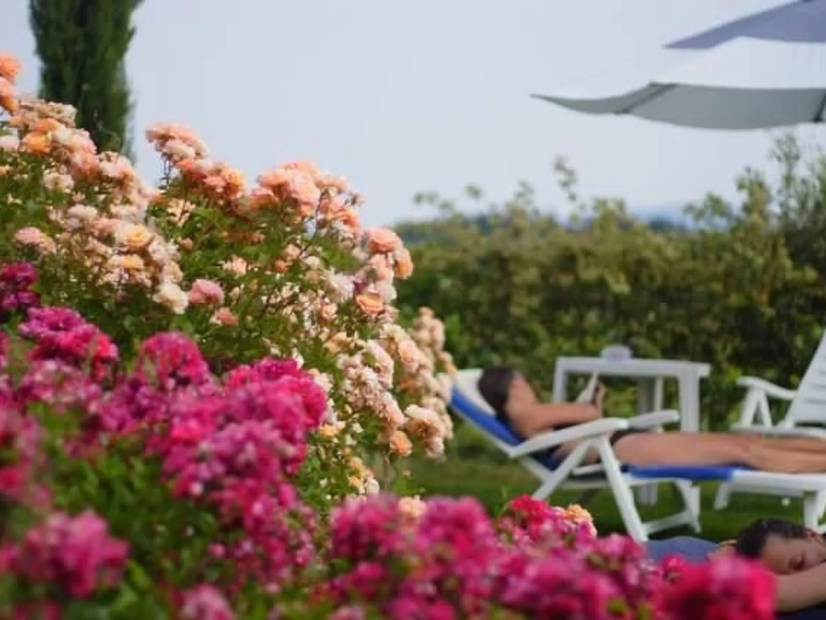 Panorama wohnung IL GIRASOLE-Image-tags.info