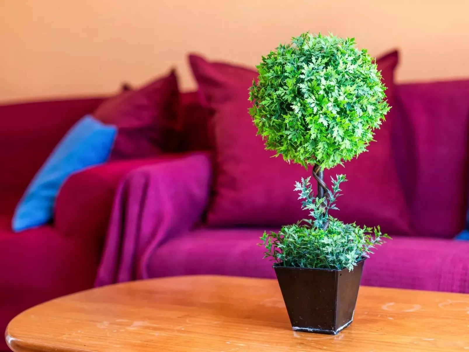 Wohnung in der besten Gegend von Costa Calma-Binnen