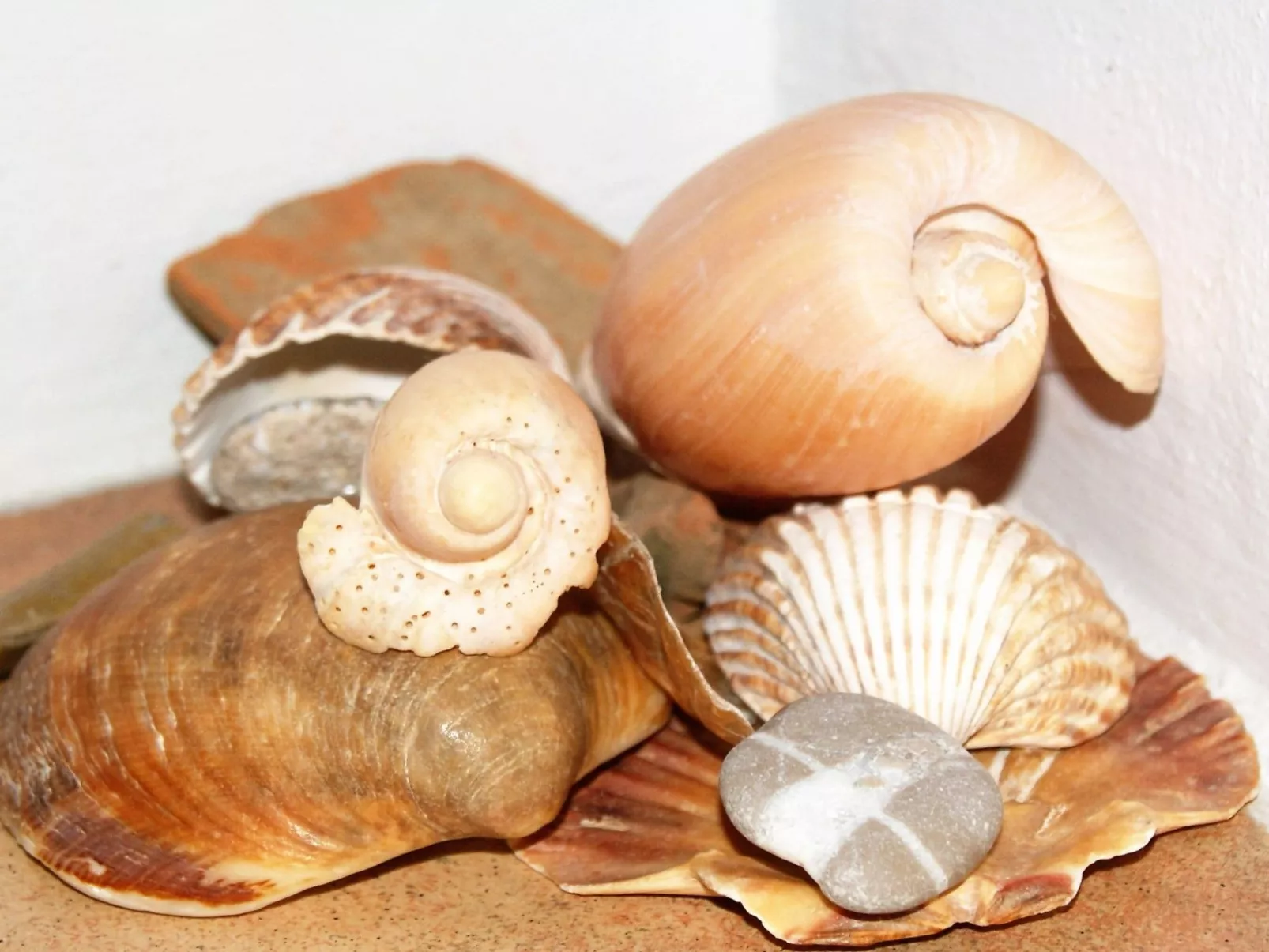 Typisches Haus im Zentrum des Barrio Morisco-Buiten