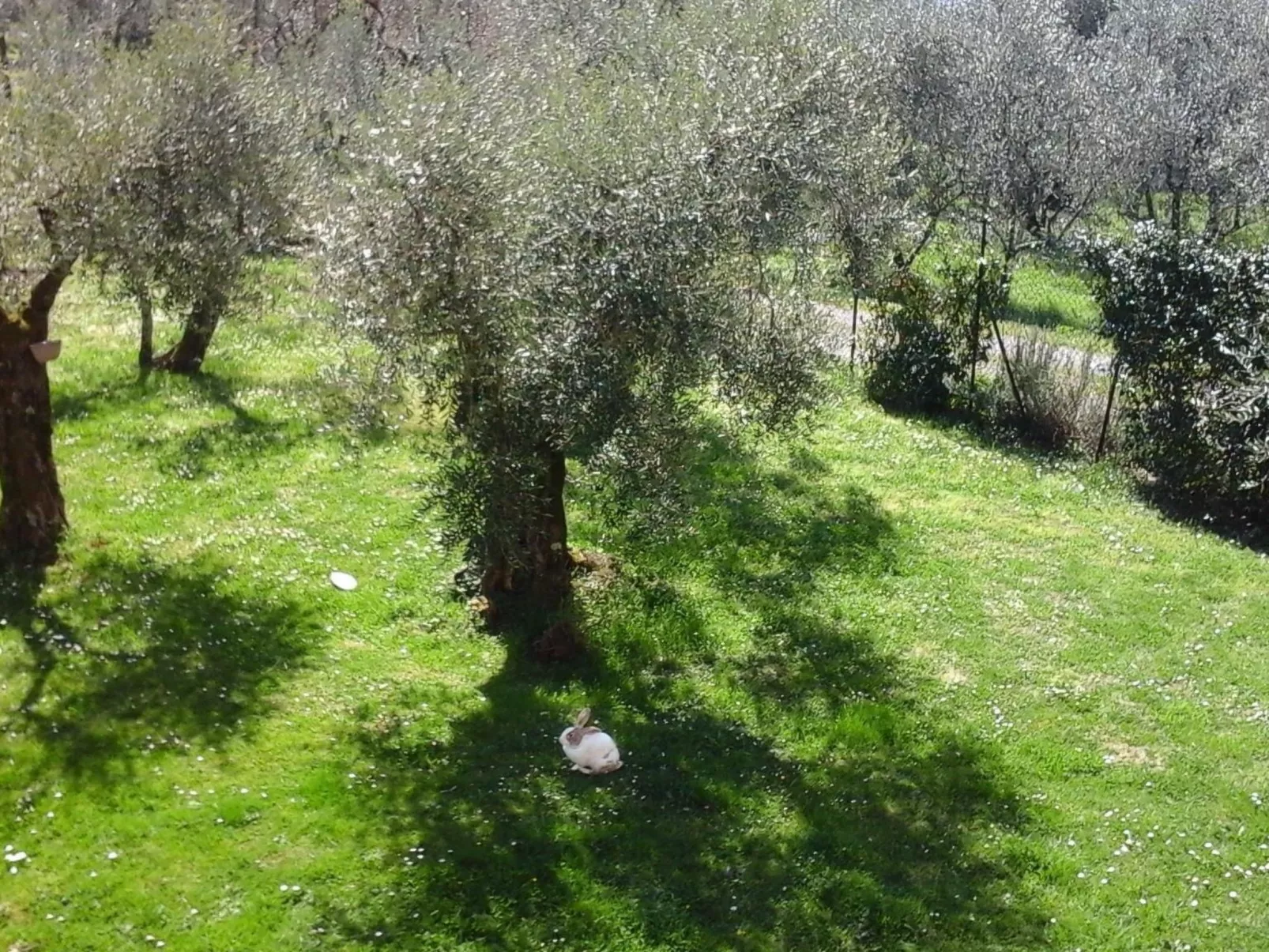 Die Scheune von Penelope-Buiten