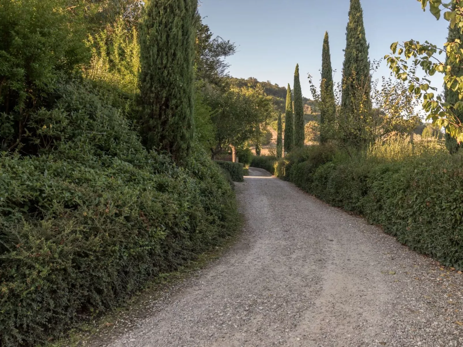 Wohnung Colle di Val d'Elsa-Buiten