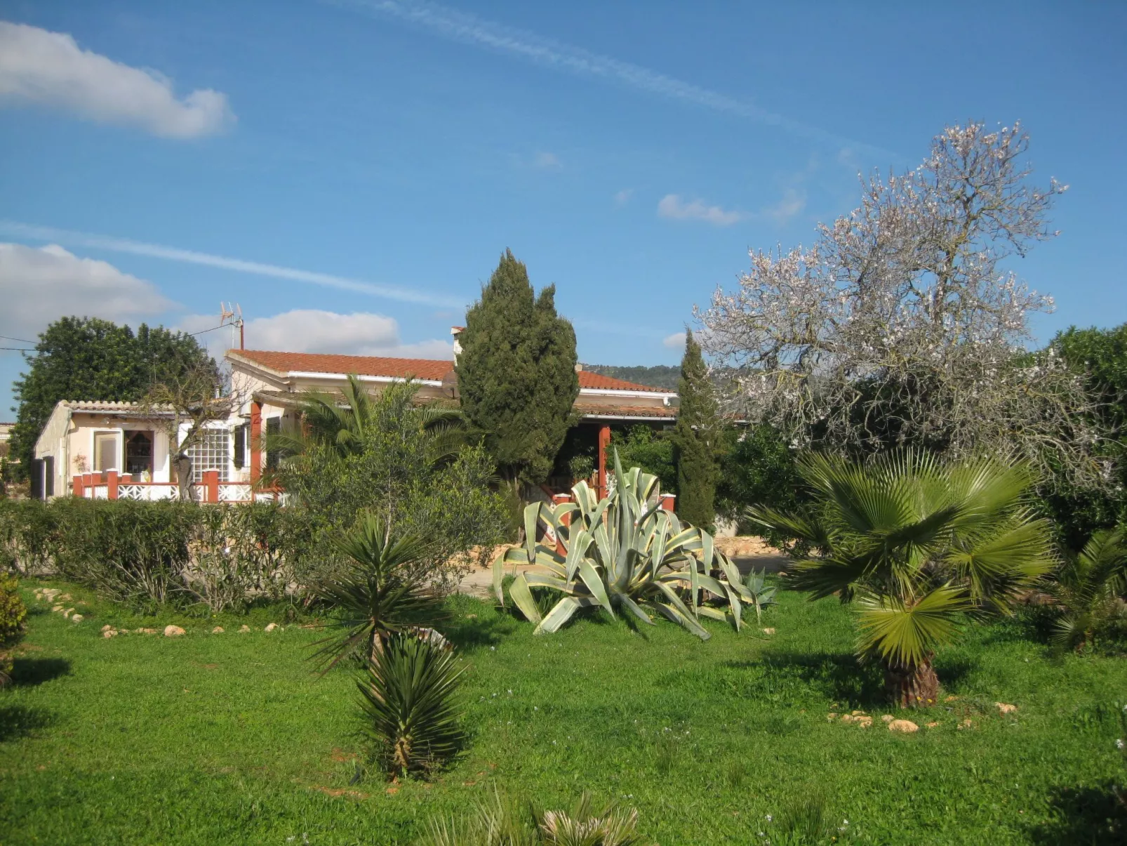 Ferienvilla mit Garten, Grill und Terrasse-Buiten