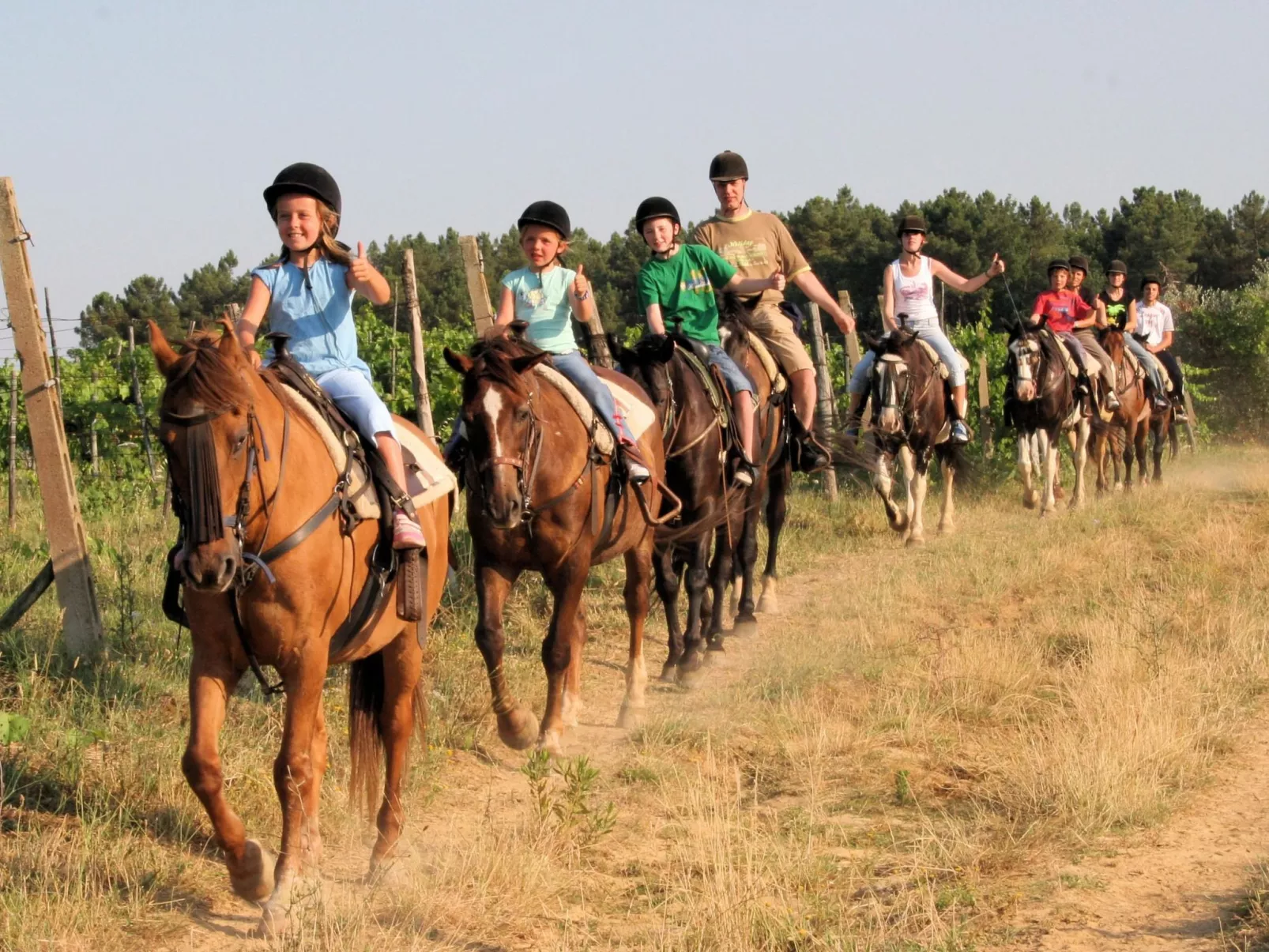 Anwesen "Frantoio" mit Infinity-Pool-Image-tags.info