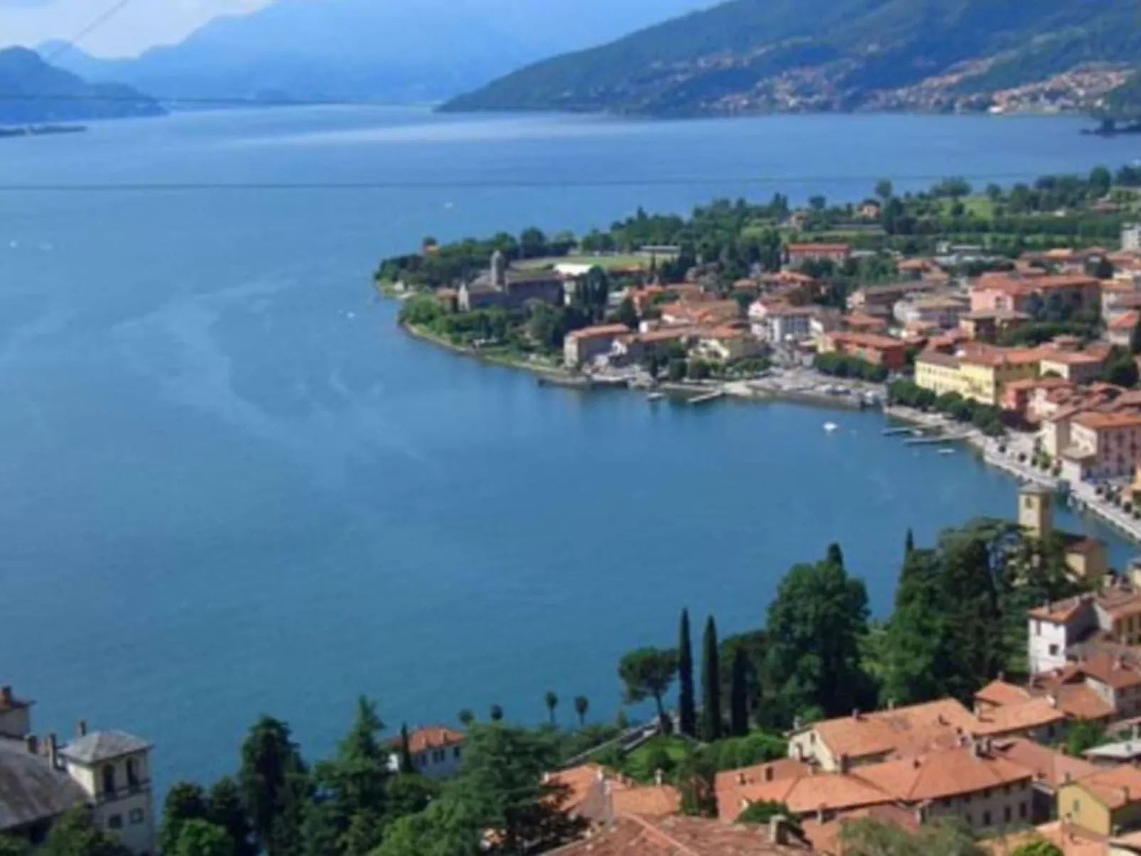 Ribolla-Image-tags.info