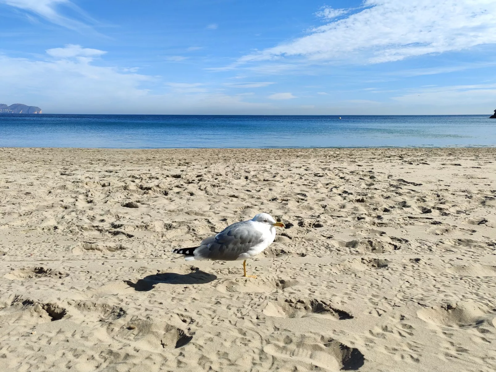 Casa Nautica-Image-tags.info