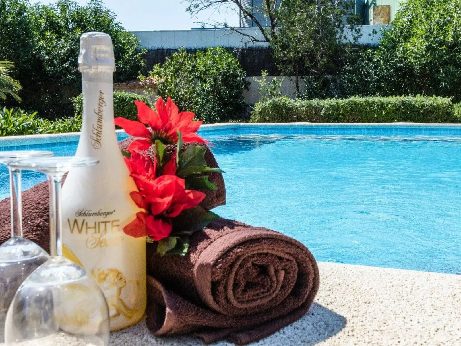 "Panada-Image-tags.info