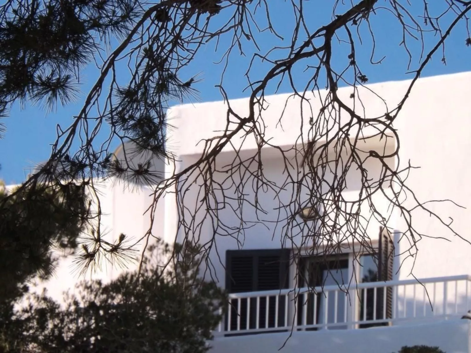 Bungalow con piscina-Buiten