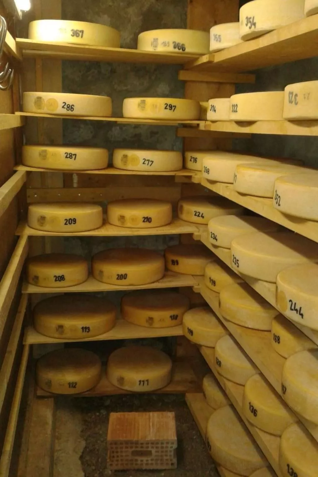 Bühlengasse 6-Binnen