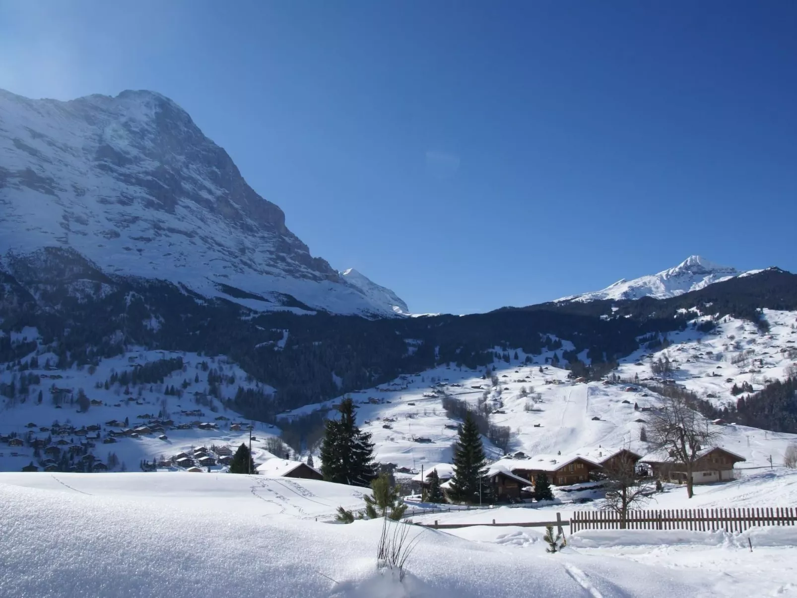 Apartment Bärgrose-Buiten
