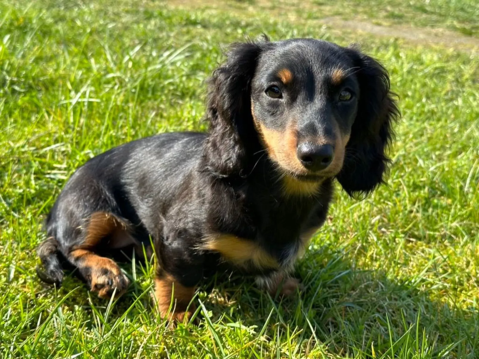 Familie Wiegert-Buiten