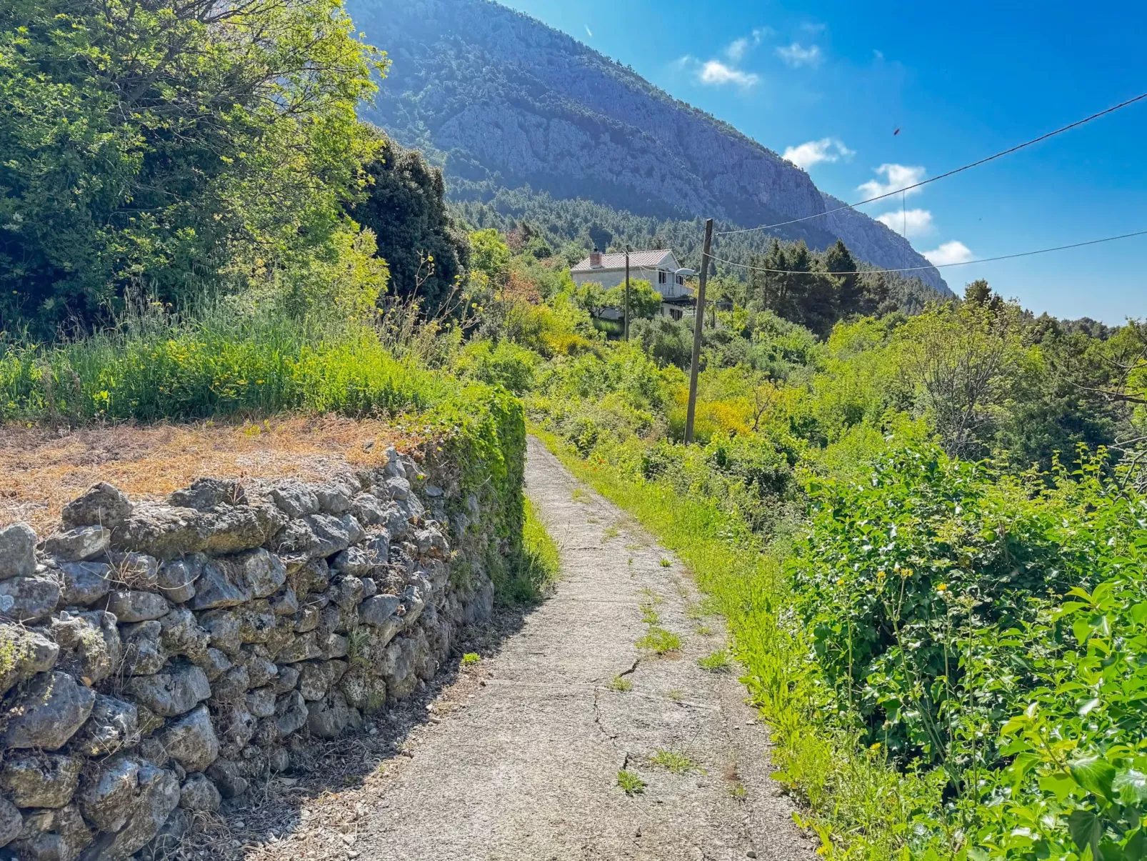 Villa Kety mit Pool-Buiten